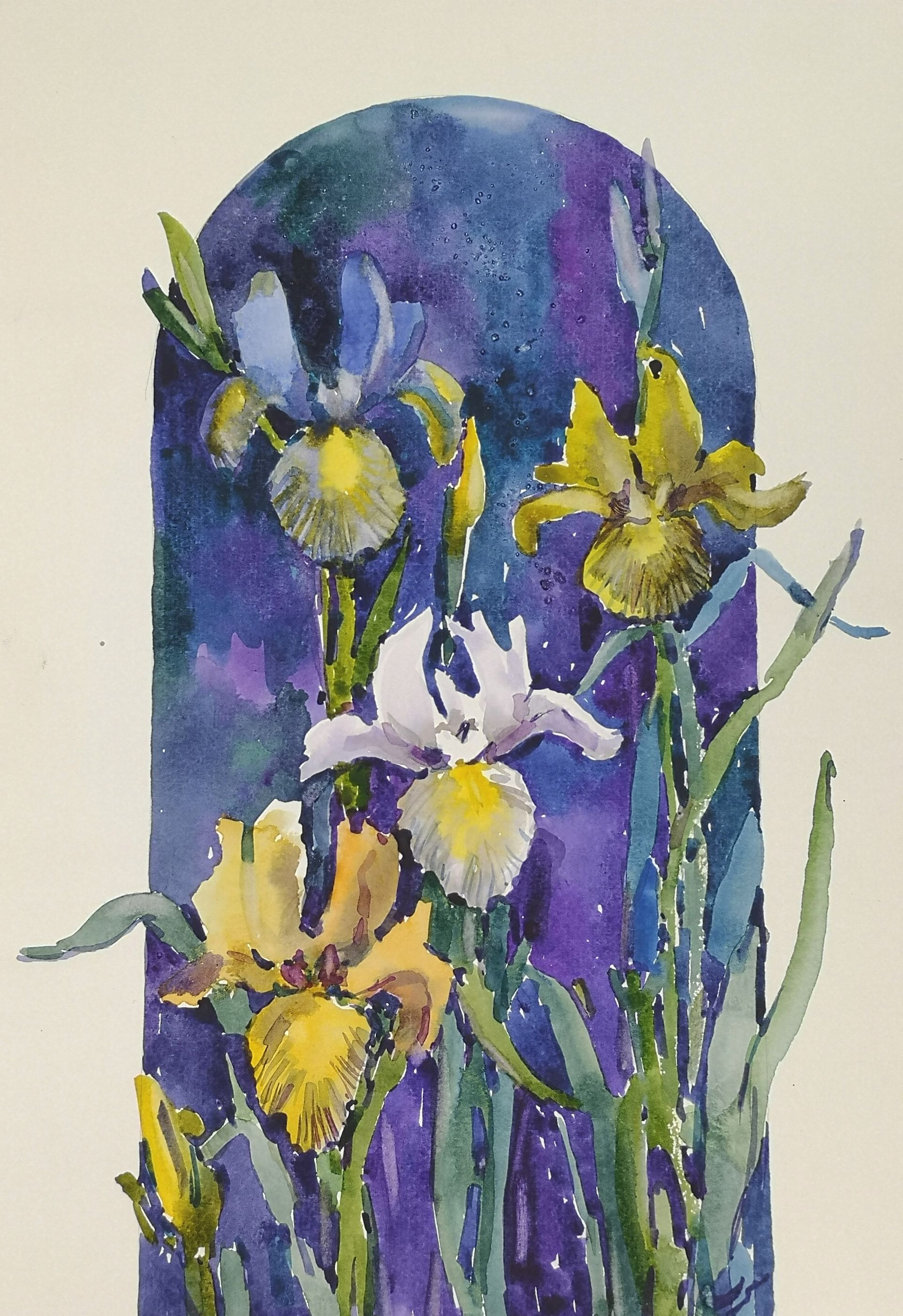 Елена Санина (Авторская графика - 
                  27 x 38 см) Ирисы