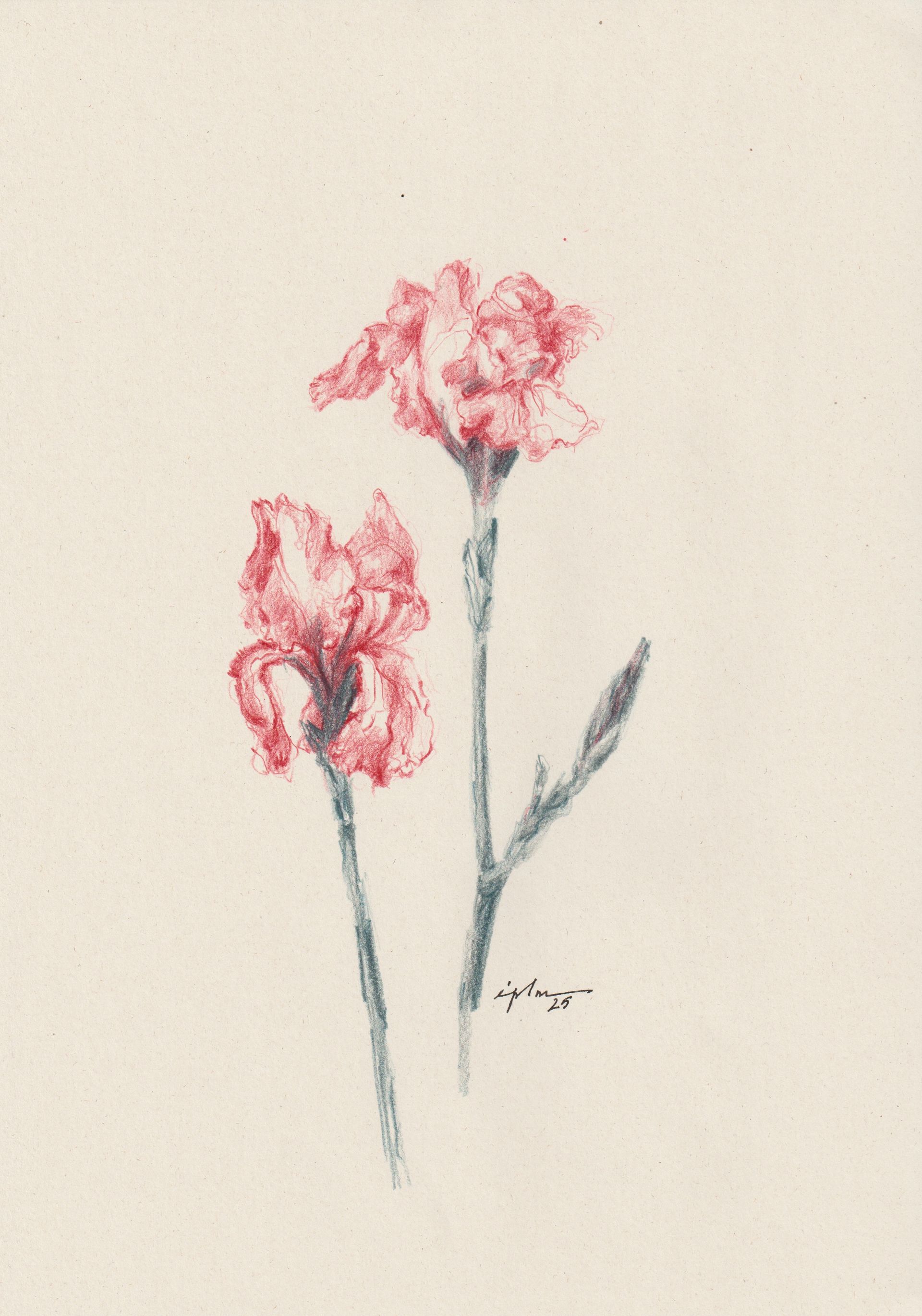 Виктория Зарецкая (embrassé par la muse) (Авторская графика - 
                  21 x 29.7 см) Fleur 05