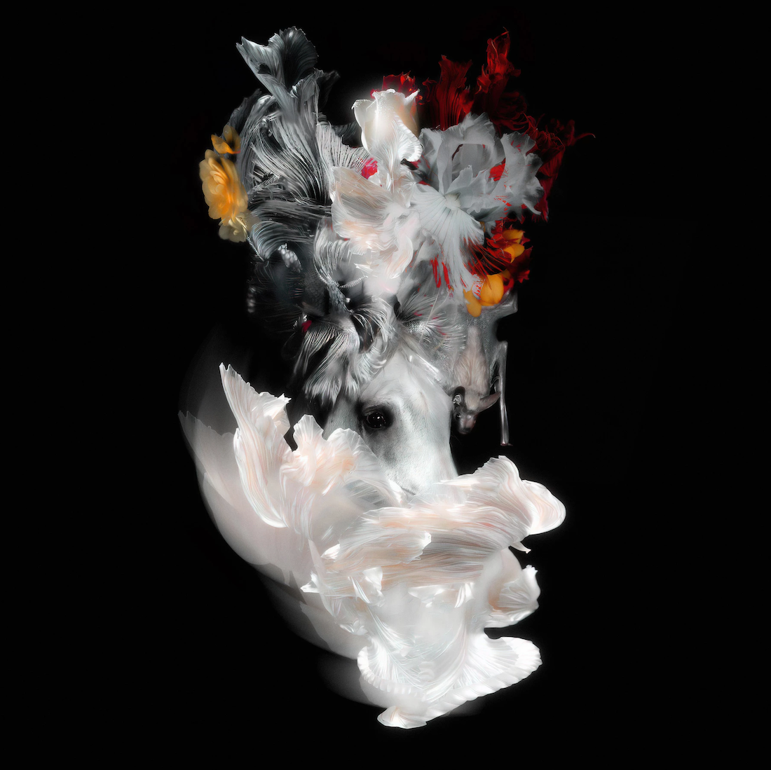 Даниил Макаров (Фотография - 
                  40 x 40 см) Nightmare