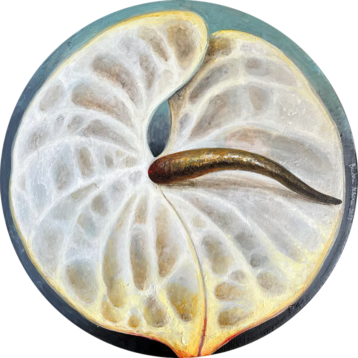 Альбина Бунина (Картина, живопись - 
                  50 x 50 см) Антурим