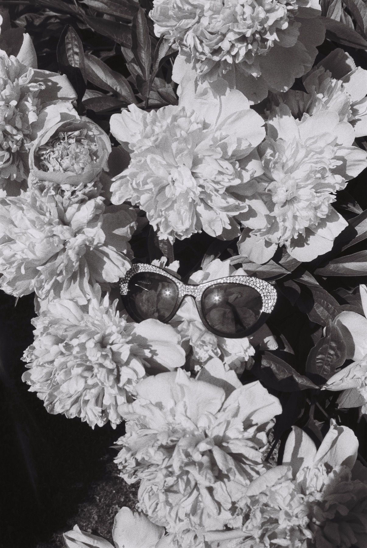 Жанна Татарова (Фотография - 
                  30 x 45 см) Жанна Татарова На память V. 30х45