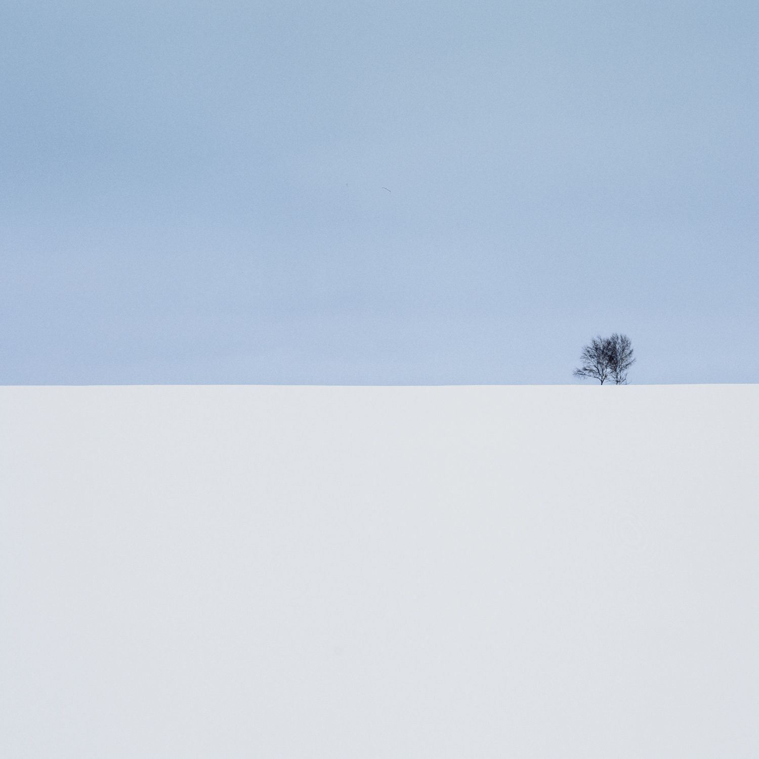Андрей Белков (Фотография - 
                  60 x 60 см) Winter blues