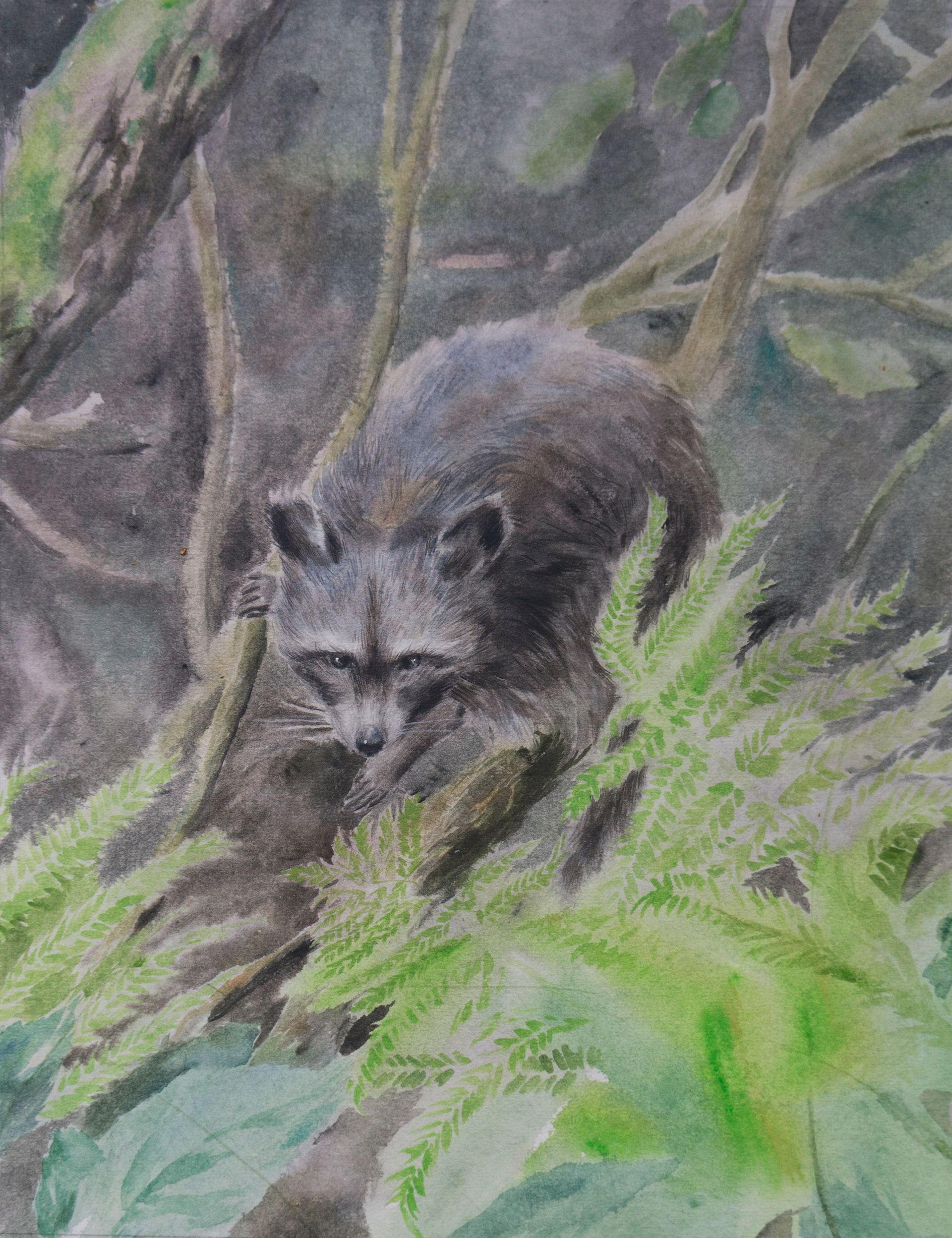 Александр и Светлана Рощенко (Авторская графика - 
                  31 x 40 см) Енот