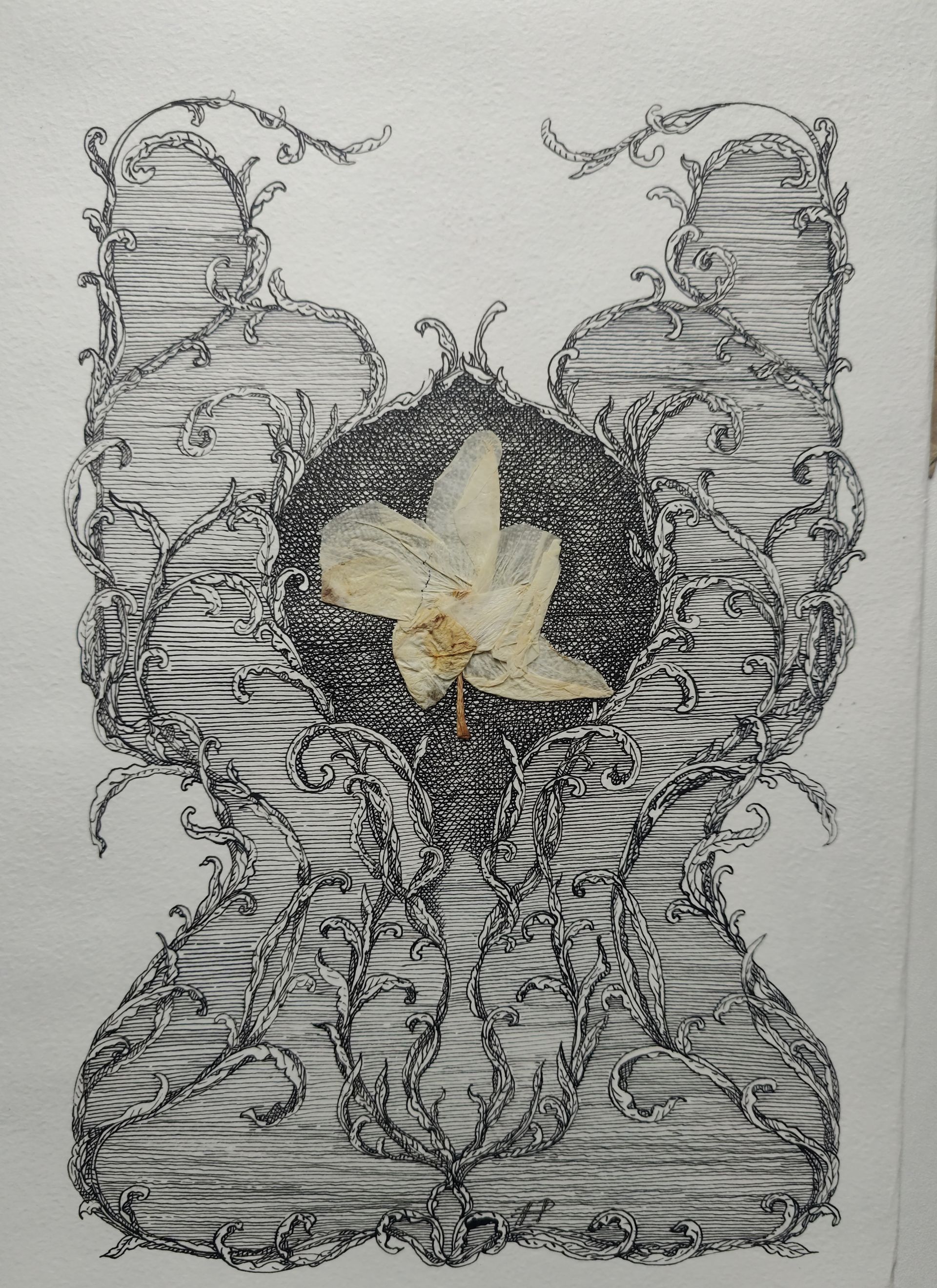 Наталия Рокотова (Авторская графика - 
                  21 x 30 см) Барокко