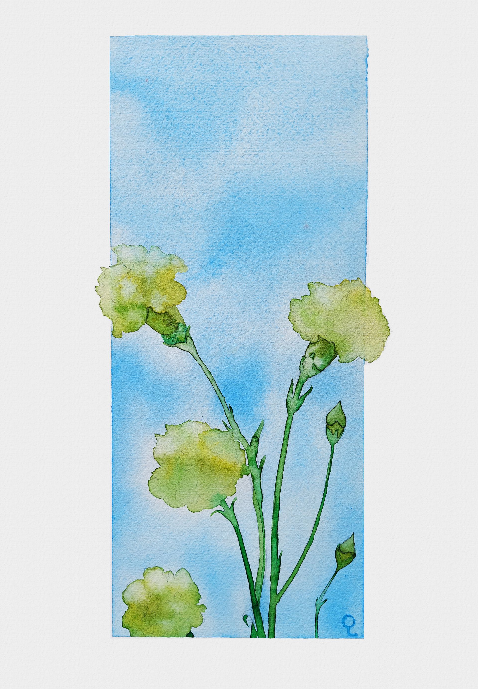 Оливия Лем (Авторская графика - 
                  25 x 35 см) Гвоздики вне рамок