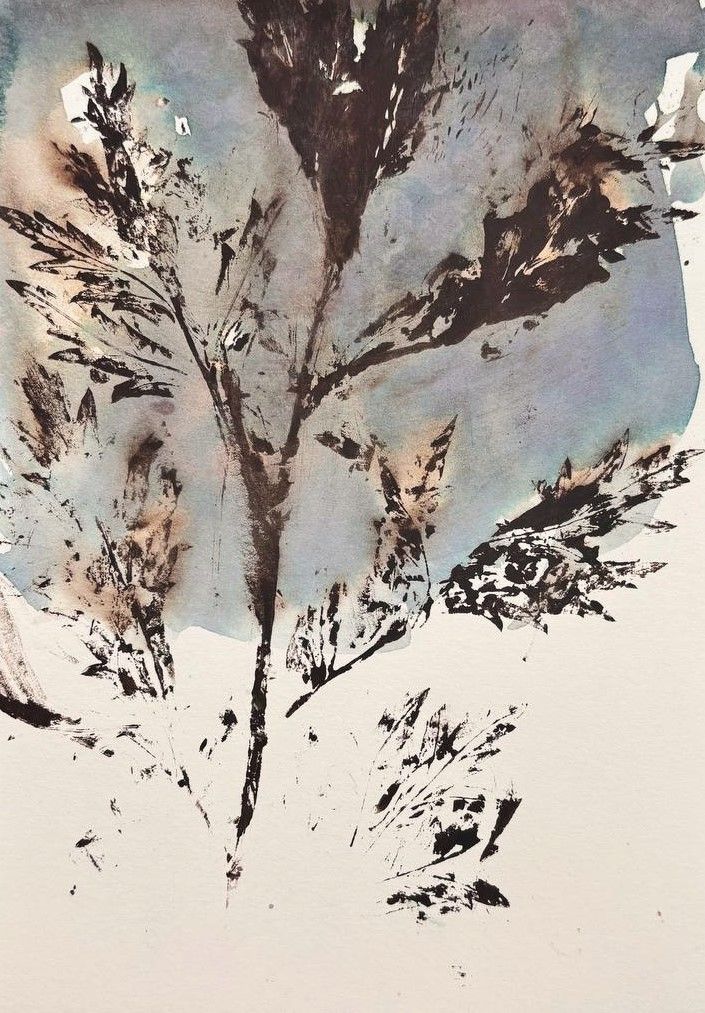 София Альбрехт (Авторская графика - 
                  14.6 x 20.9 см) ТРАВЫ №13. HERBS NO. 13