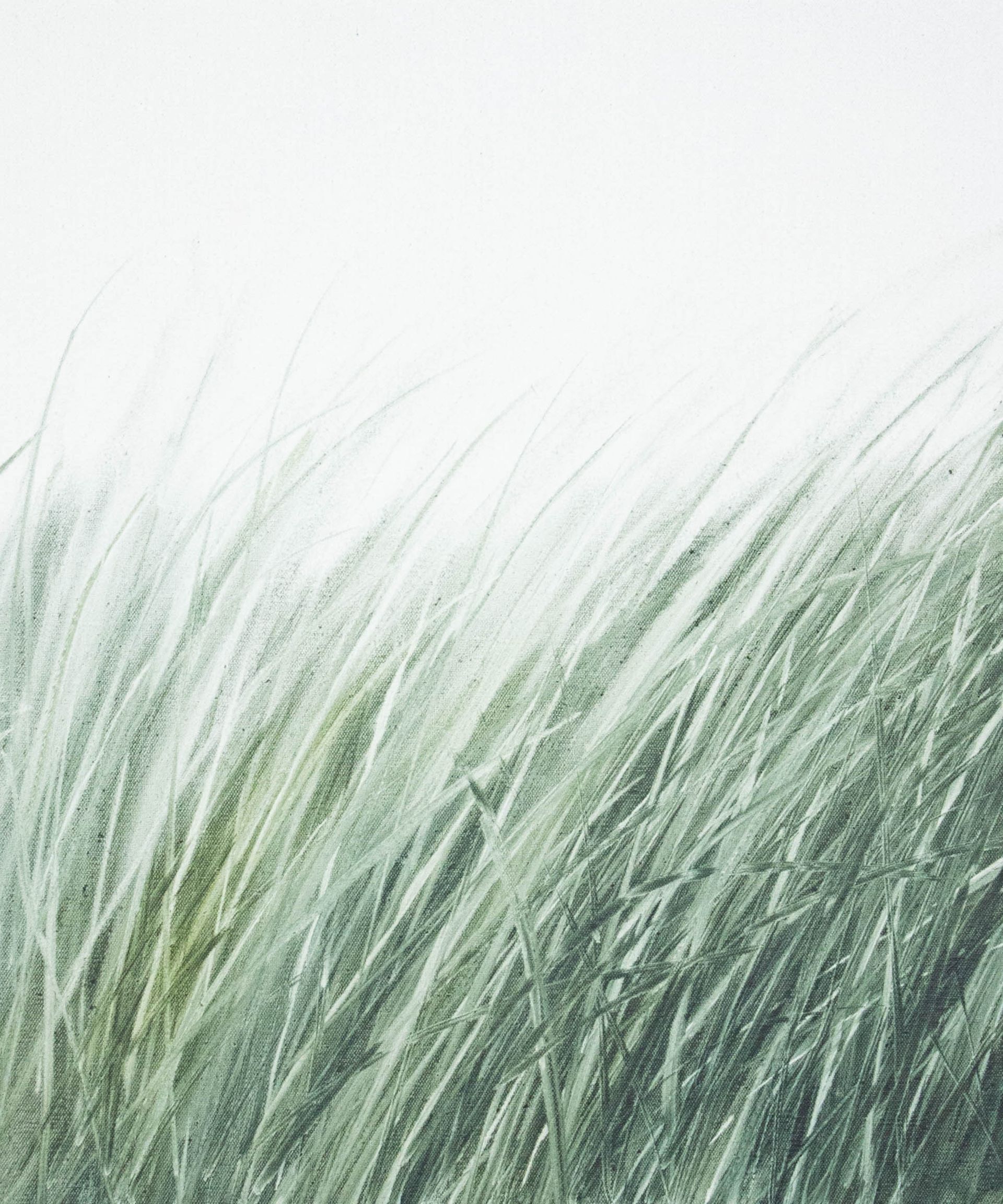 Татьяна Прокшина (Картина, живопись - 
                  50 x 60 см) Травы 260206