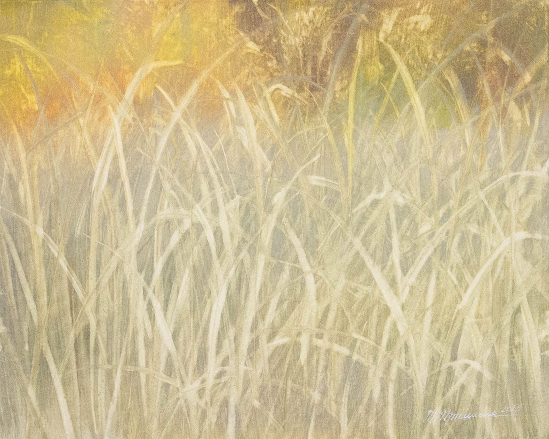 Татьяна Прокшина (Картина, живопись - 
                  50 x 40 см) Тёплый горизонт