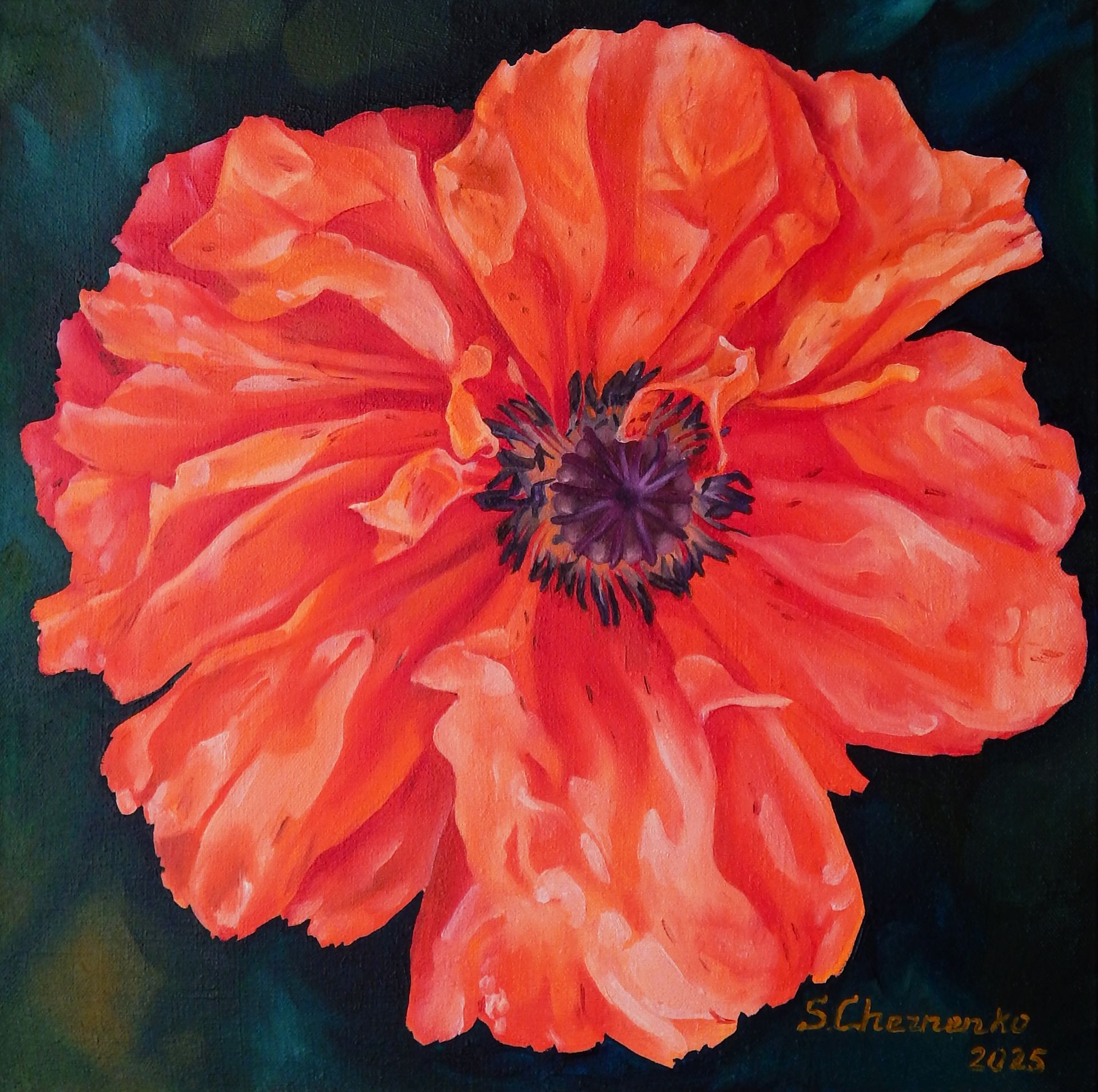 Светлана Черненко (Картина, живопись - 
                  50 x 50 см) Мак