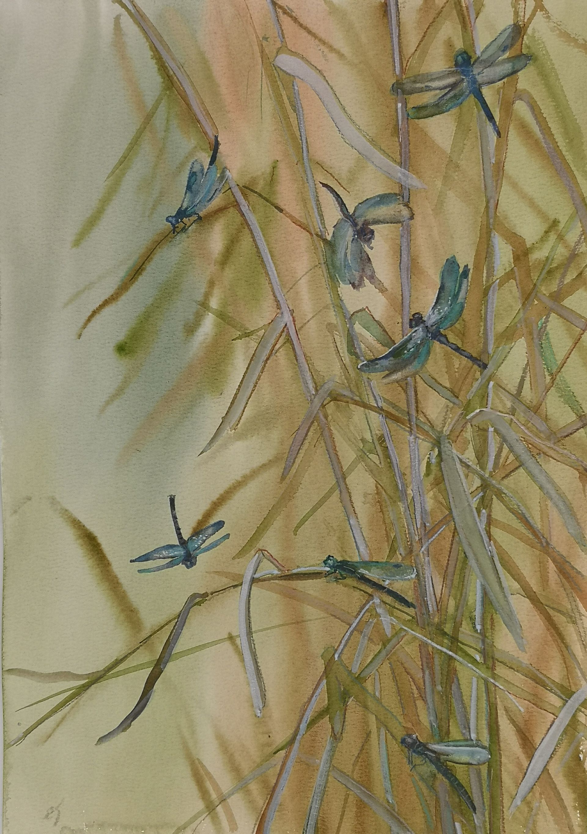 Елена Санина (Авторская графика - 
                  27 x 38 см) Стрекозы