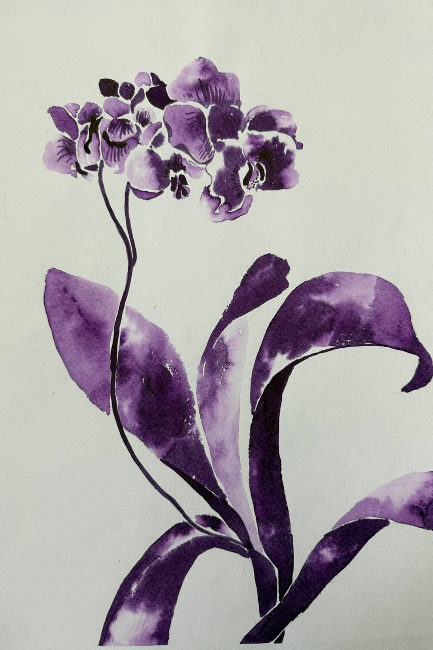 Алена Сокольникова (Авторская графика - 
                  27.5 x 41 см) Орхидея
