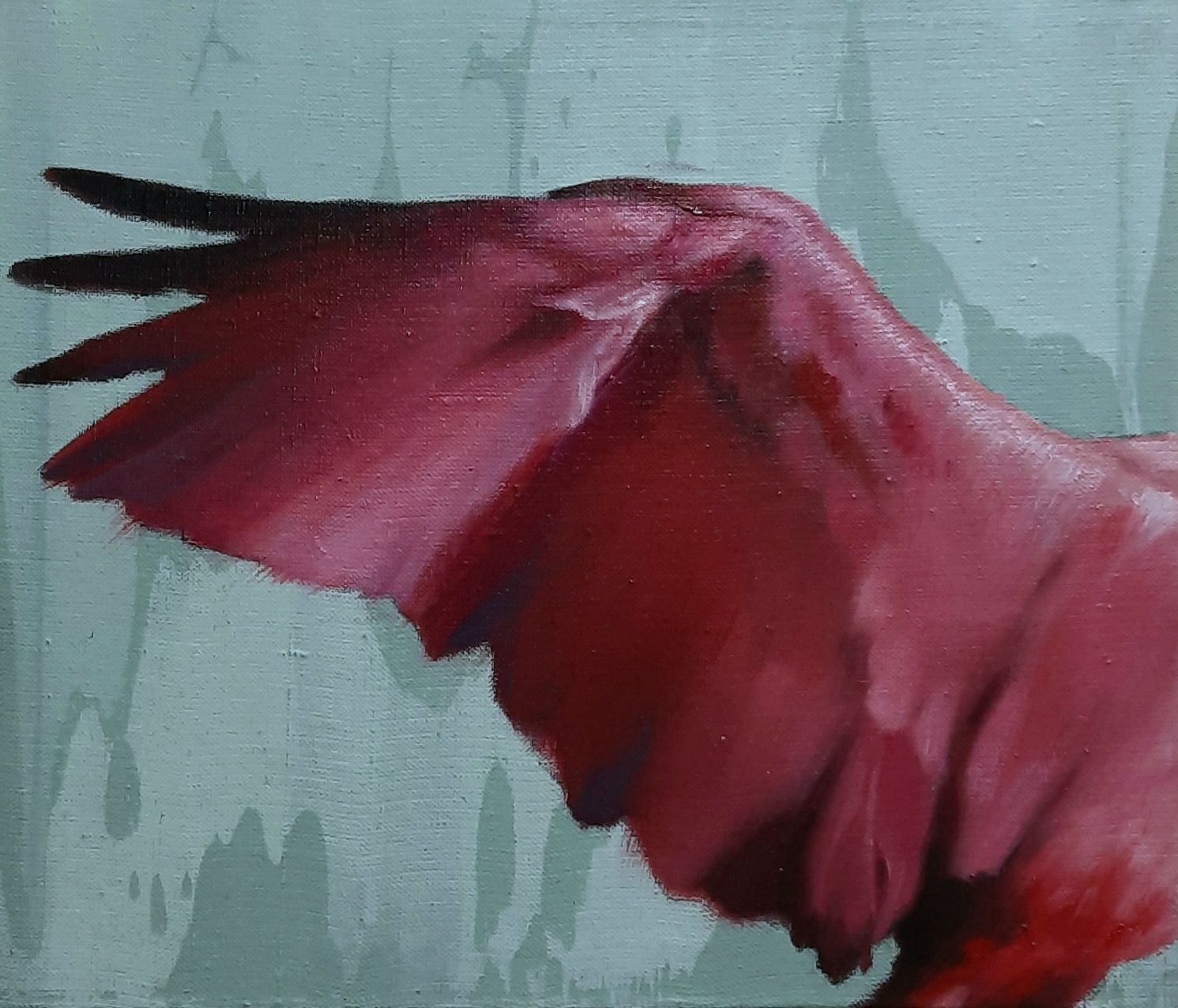 Катерина Бородавченко (Картина, живопись - 
                  35 x 30 см) Крыло розовой колпицы