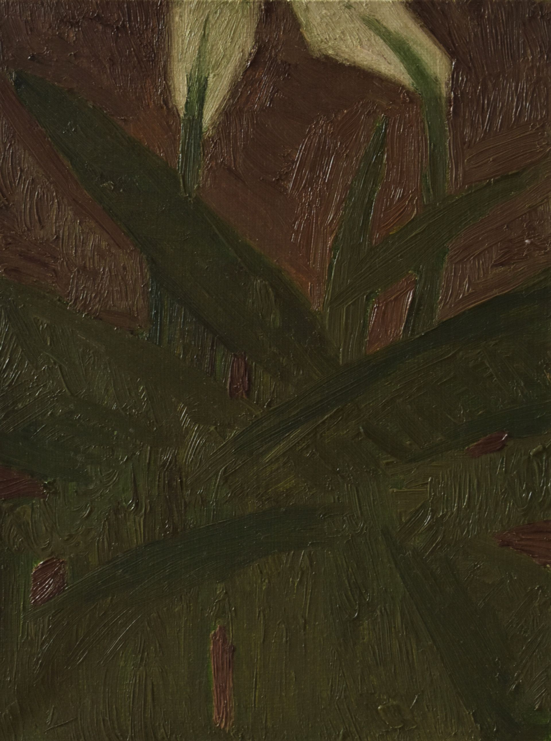 Настя Литецких (Картина, живопись - 
                  18 x 24 см) Цветы. Антуриум