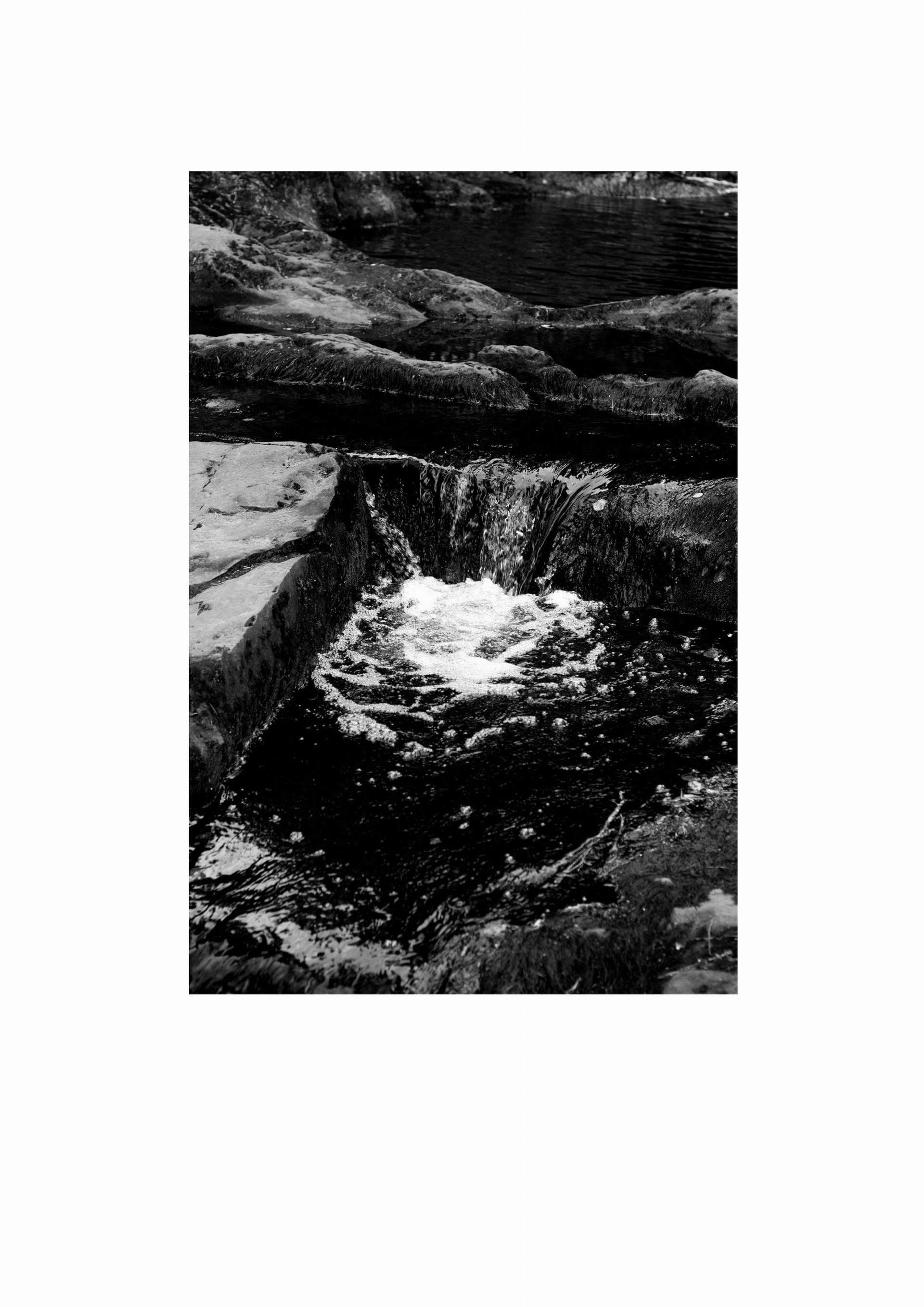 Кристина Сергеева (Фотография - 
                  20 x 30 см) Как Саша Литвинов ружье закопал VII