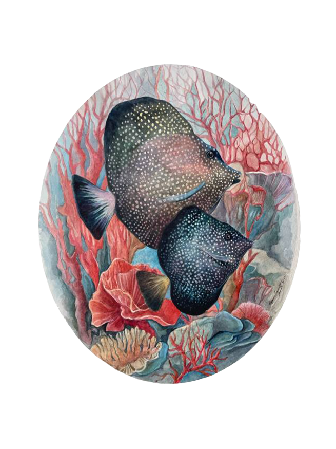 Екатерина Маркина (Авторская графика - 
                  30 x 40 см) Дискусы