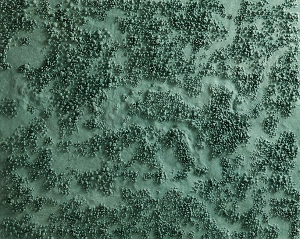 Ксения Саитова (Объект - 
                  100 x 80 см) Точка зрения (зеленая)