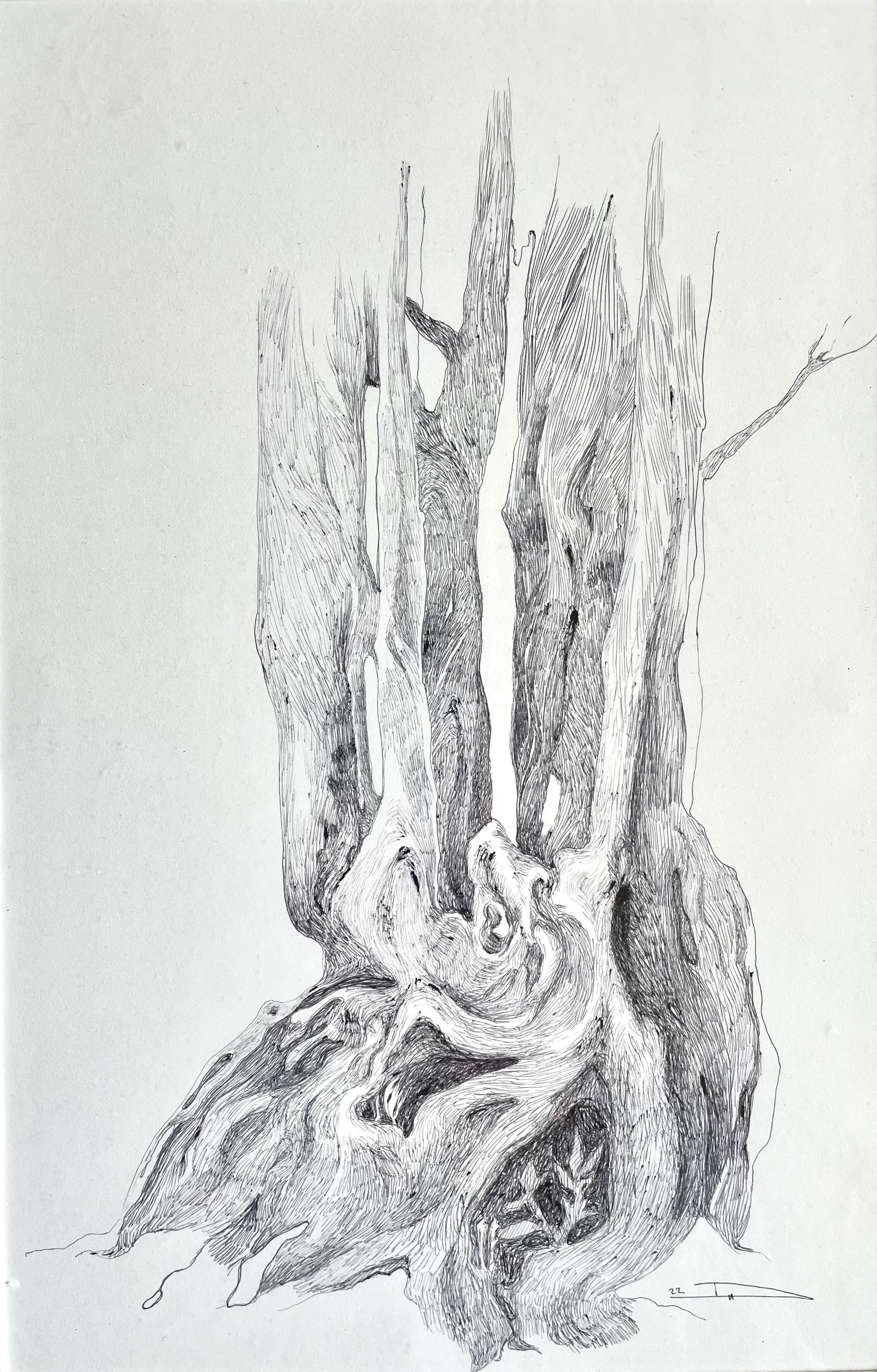 Анна Дёмина (Авторская графика - 
                  20 x 30 см) Деревья. Сочи
