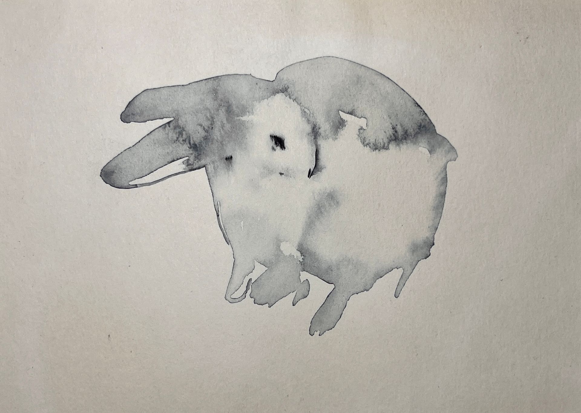 Люсинэ Туманян (Авторская графика - 
                  18 x 12.5 см) Кролик