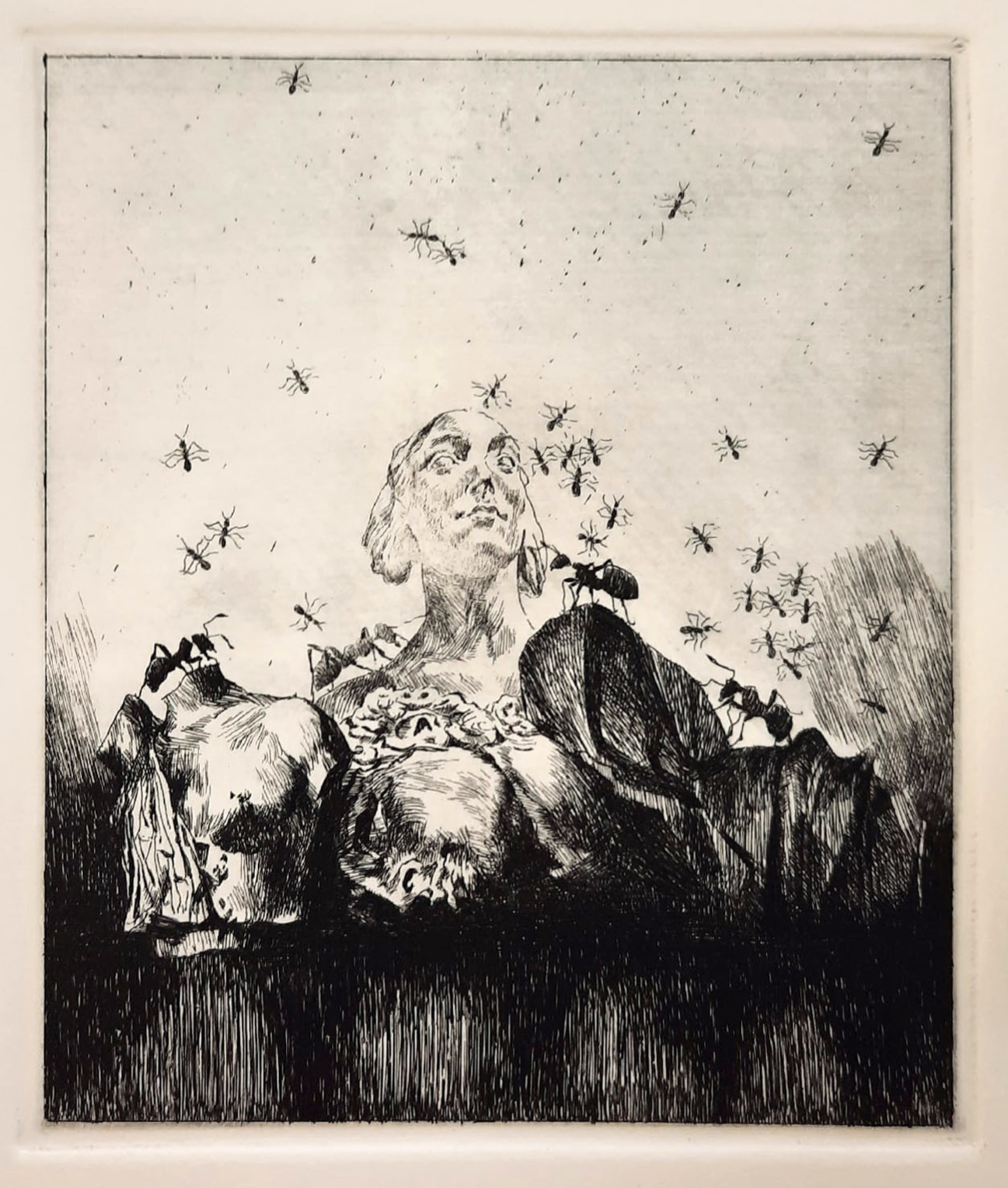 Александр Коряшкин (Графика печатная - 
                  9 x 11 см) Сахарная голова