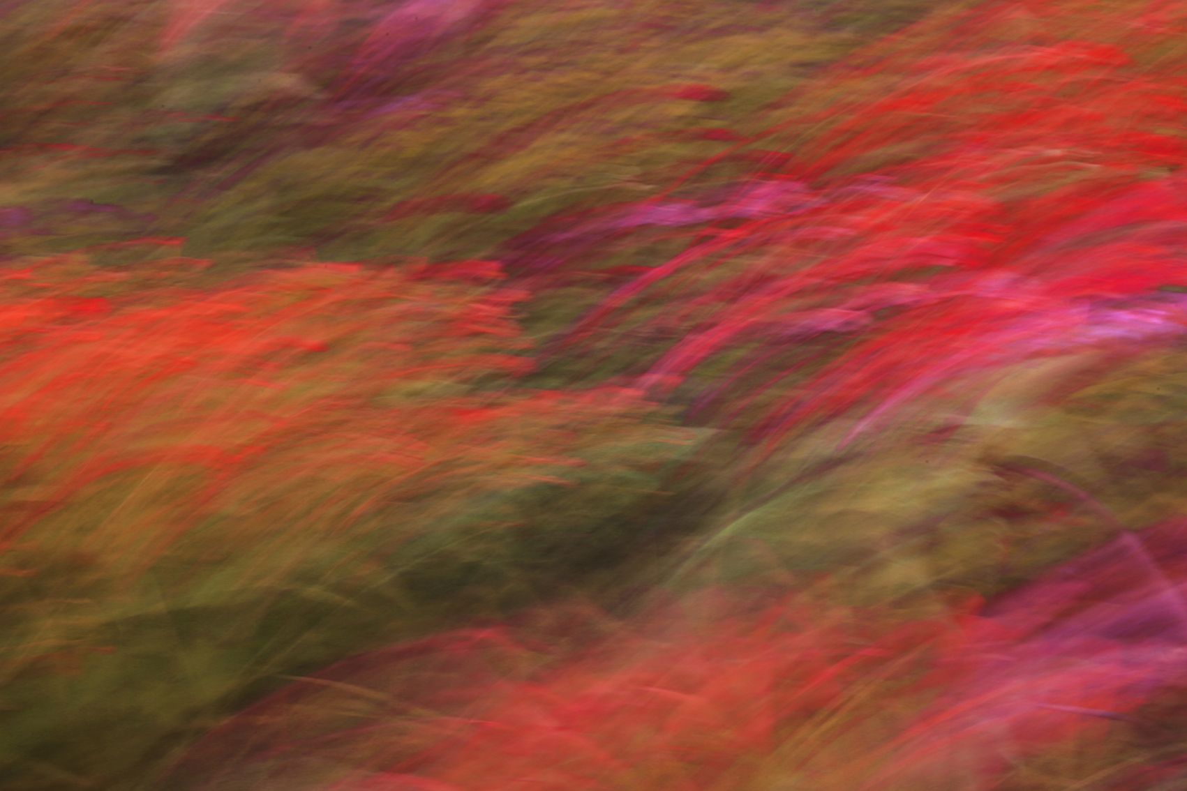 Татьяна Сенчило (Фотография - 
                  100 x 70 см) Из серии "Исчезнуть, замолчать, услышать"