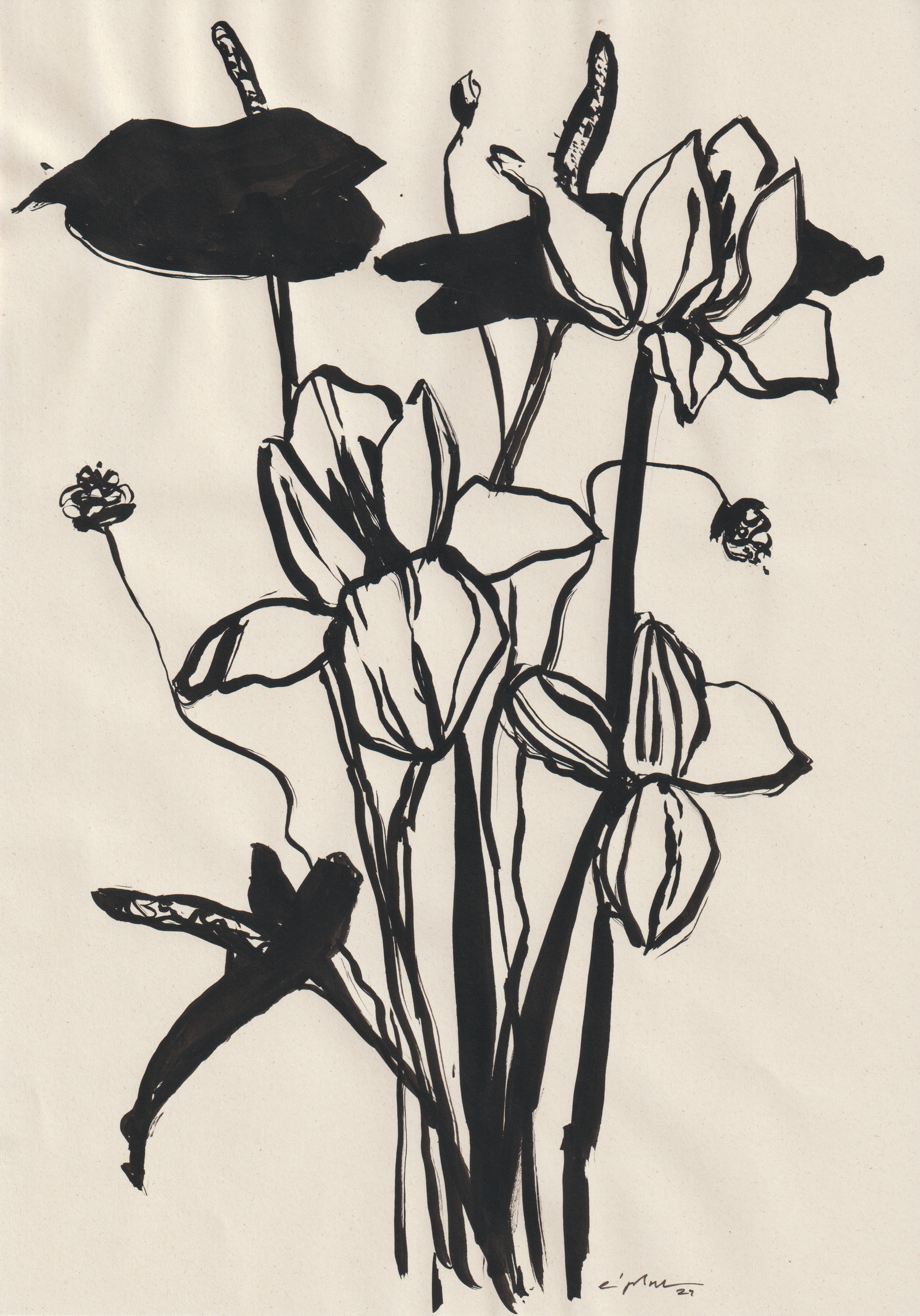 Виктория Зарецкая (Авторская графика - 
                  21 x 29.7 см) Encre et fleurs 01