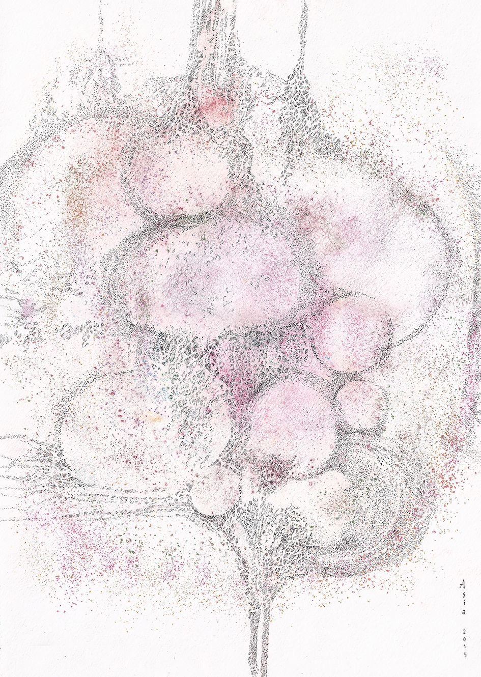 Ася Багаева (Авторская графика - 
                  29.5 x 41.5 см) Розовый сад