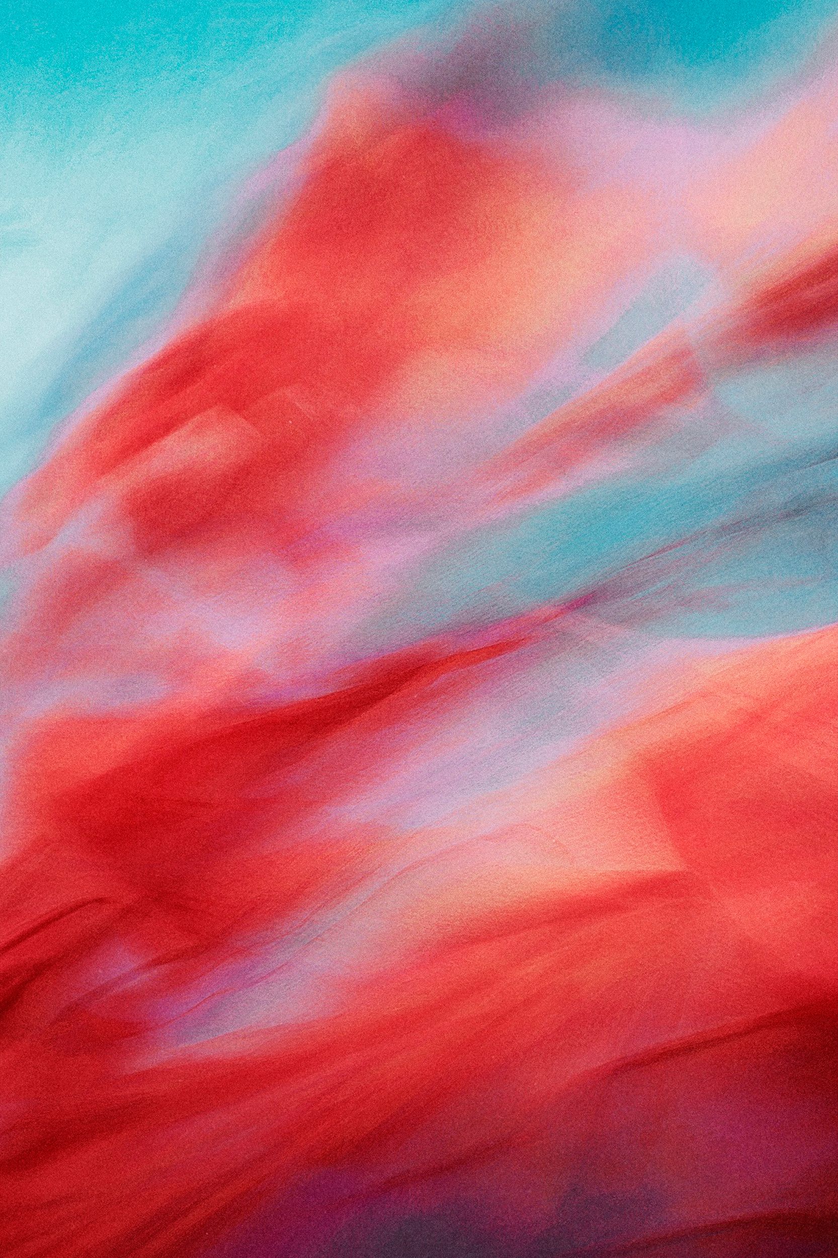 Ольга Ширяева (Фотография - 
                  40 x 60 см) Альстромерия №4