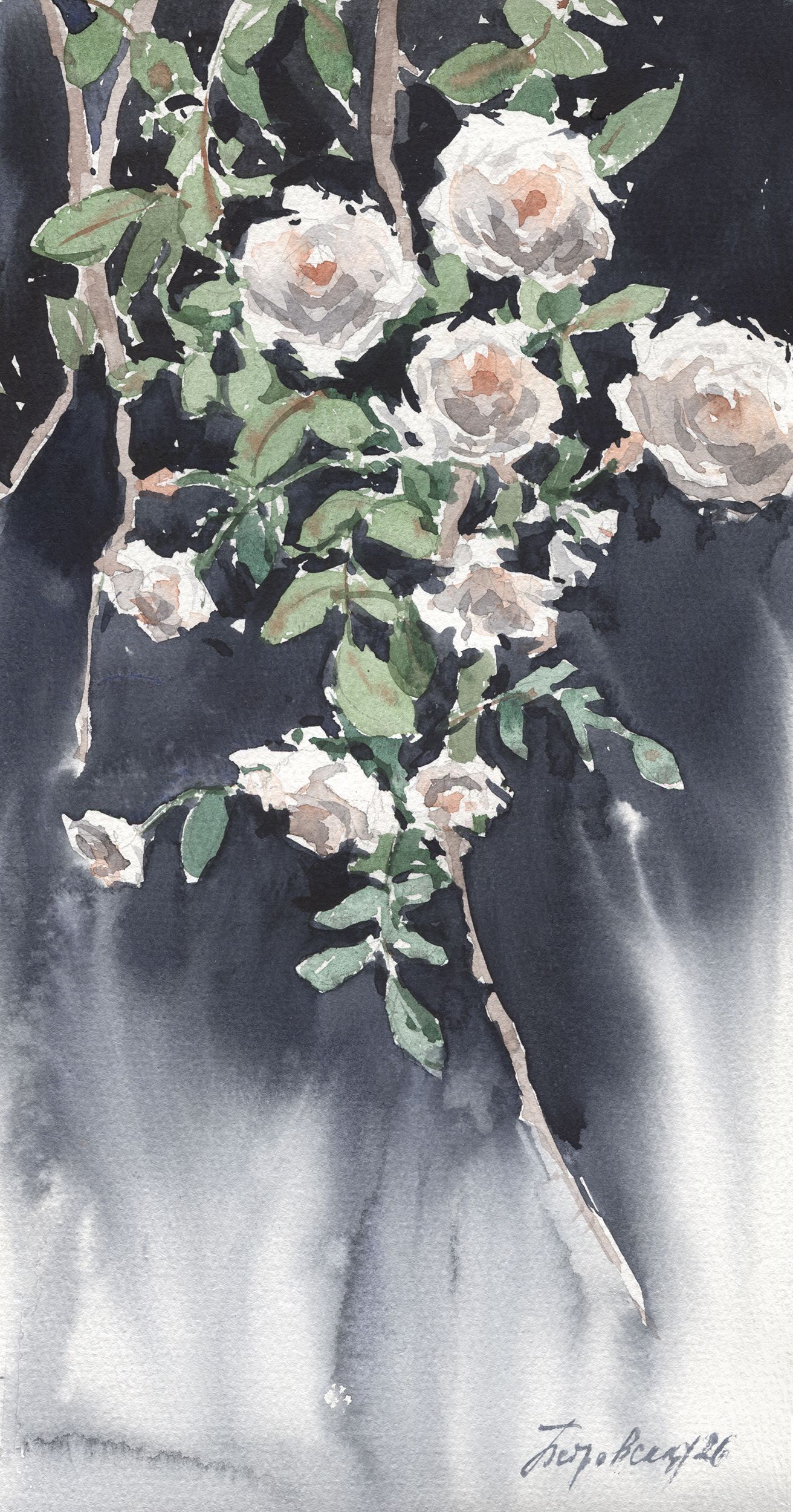 Ирина Петровская (Авторская графика - 
                  17.5 x 33 см) Садовые розы