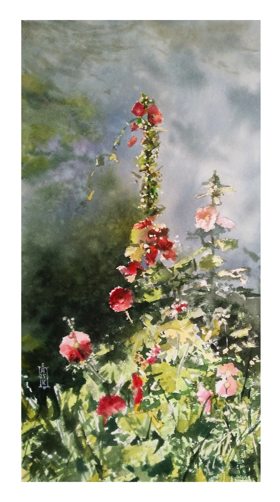 Александр Кормилицын (Авторская графика - 
                  23 x 42.4 см) Мальва и вьюнок