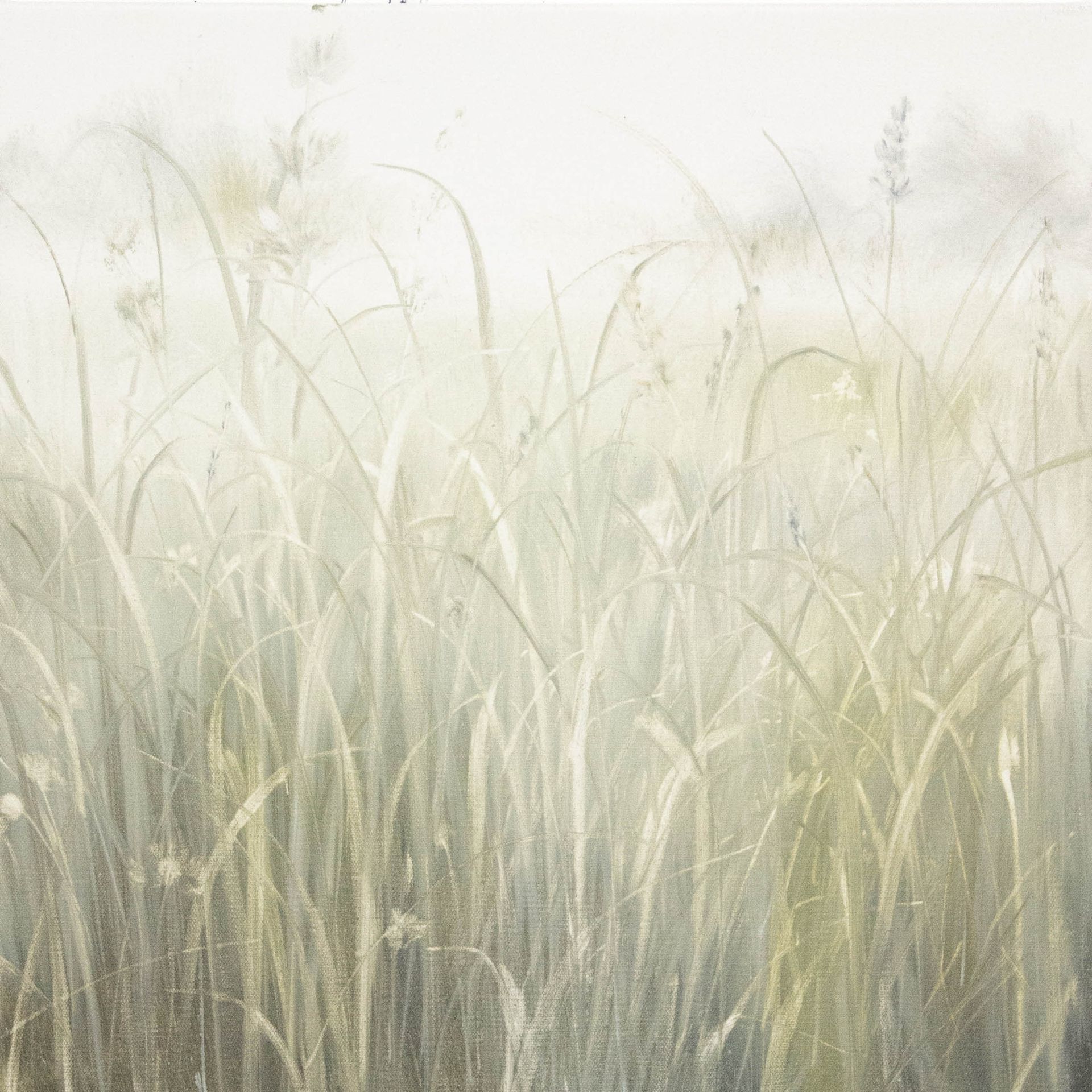 Татьяна Прокшина (Картина, живопись - 
                  50 x 50 см) Травы 251103