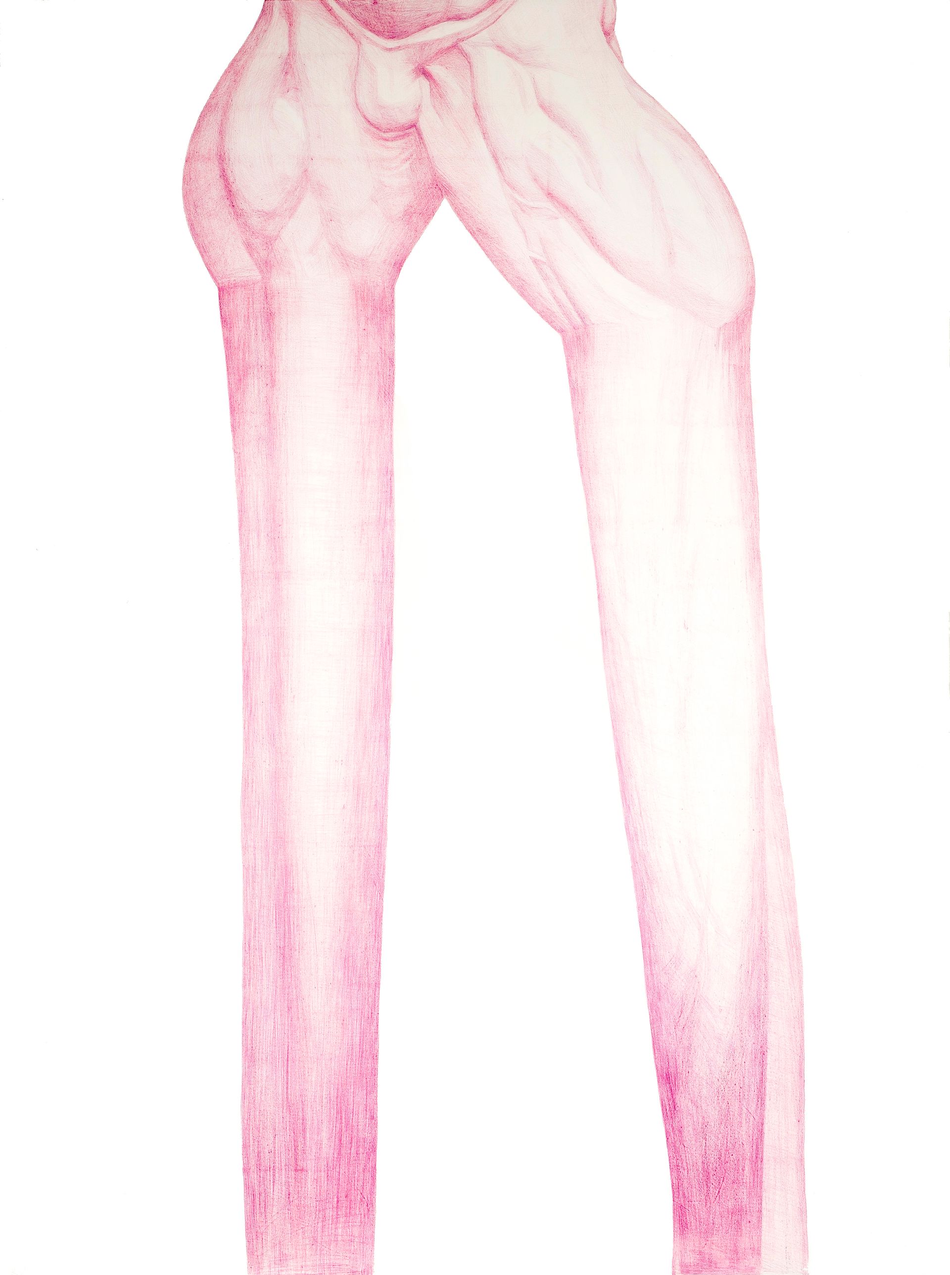 Дмитрий Ляшенко (Авторская графика - 
                  90 x 120 см) Legsssssssssss