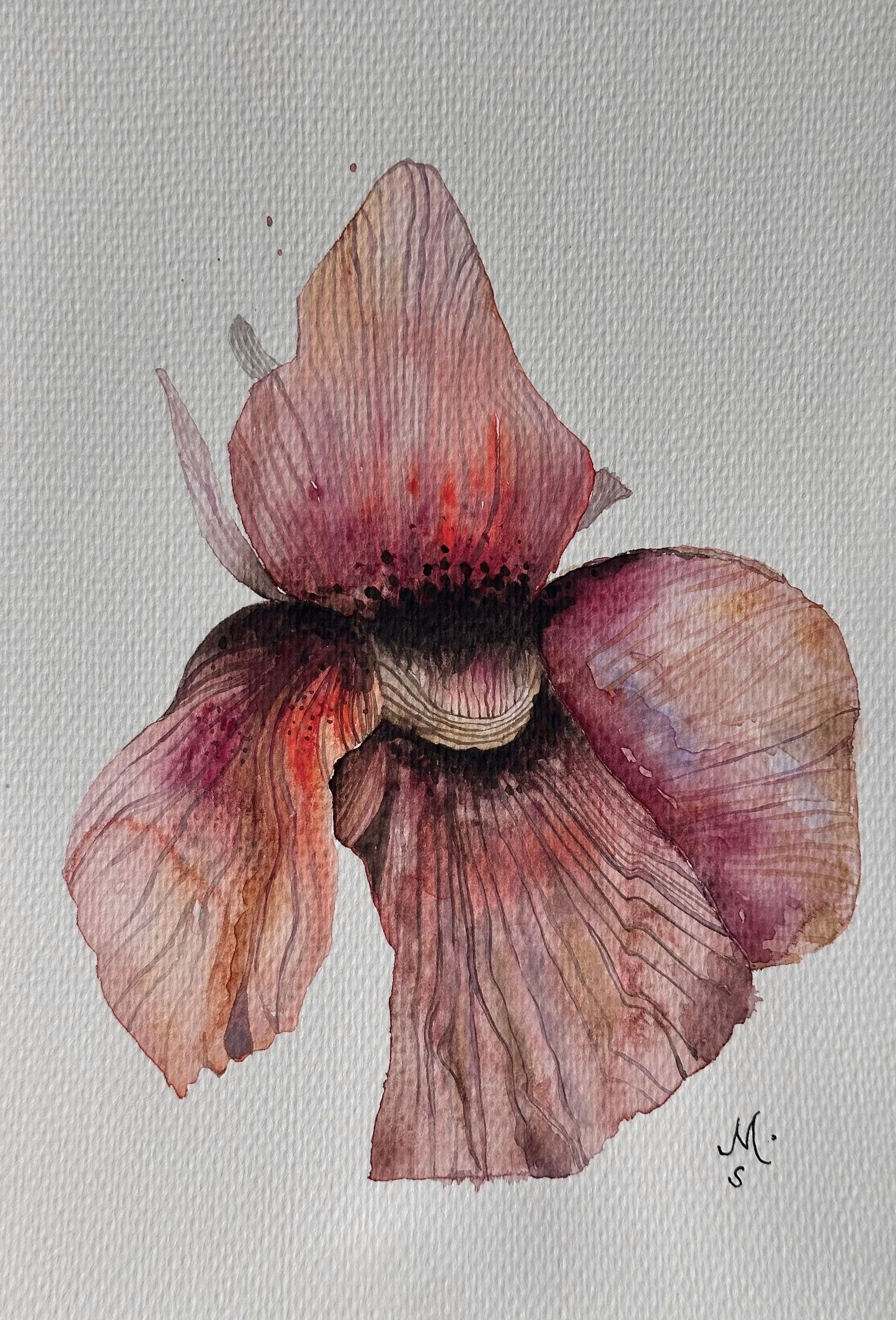 Анастасия Смольнякова (Авторская графика - 
                  19 x 27 см) Из сна