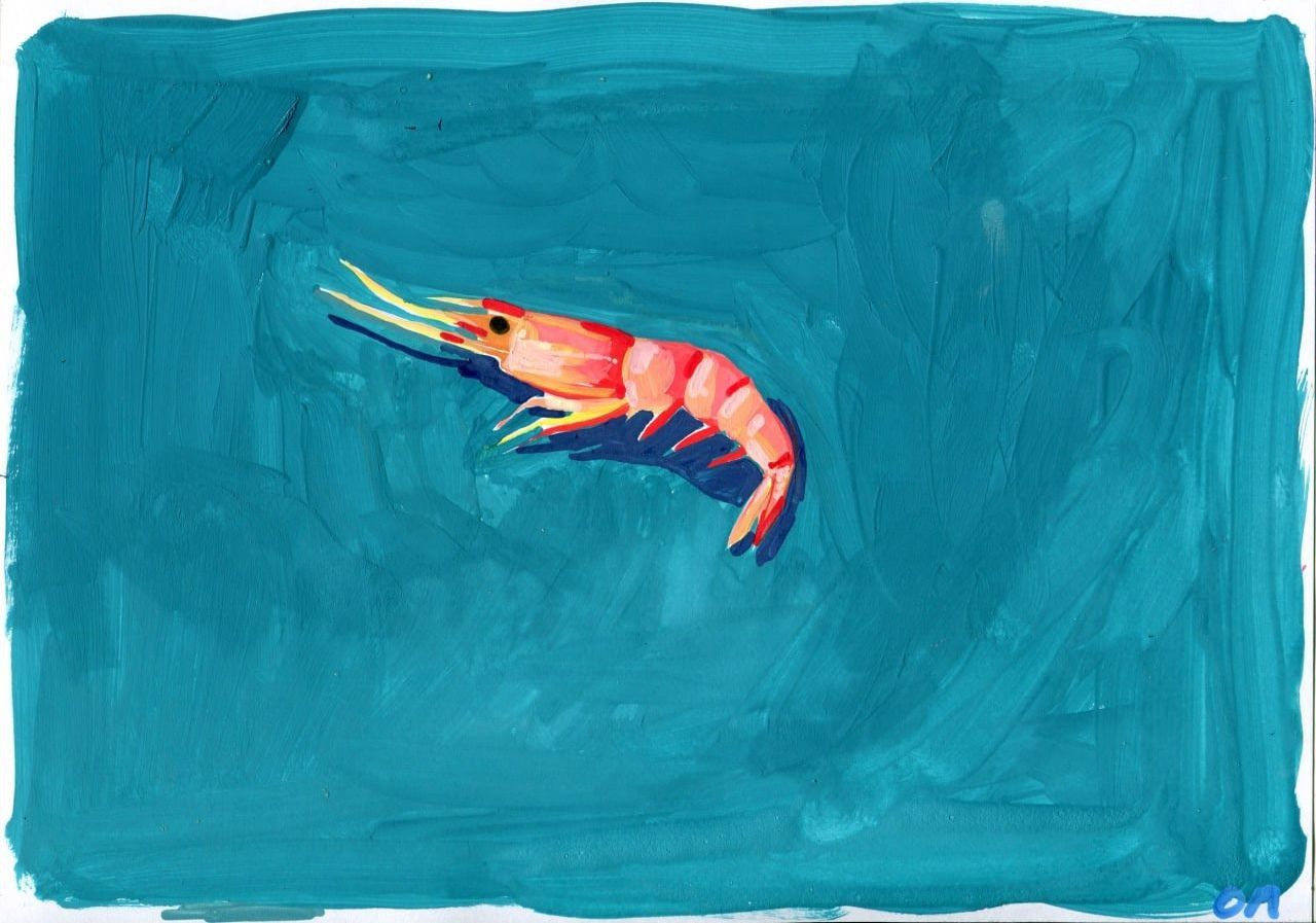 Олеся Лишаева (Авторская графика - 
                  30 x 21 см) Креветка