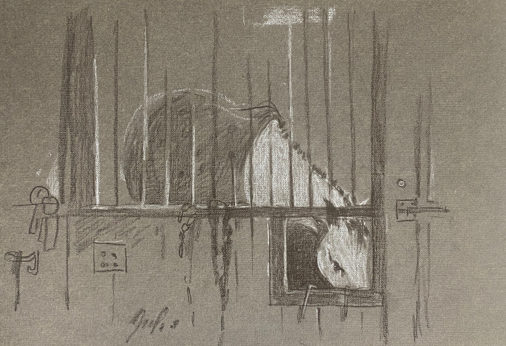 Надежда Воронцова (Авторская графика - 
                  30 x 21 см) Белая лошадь