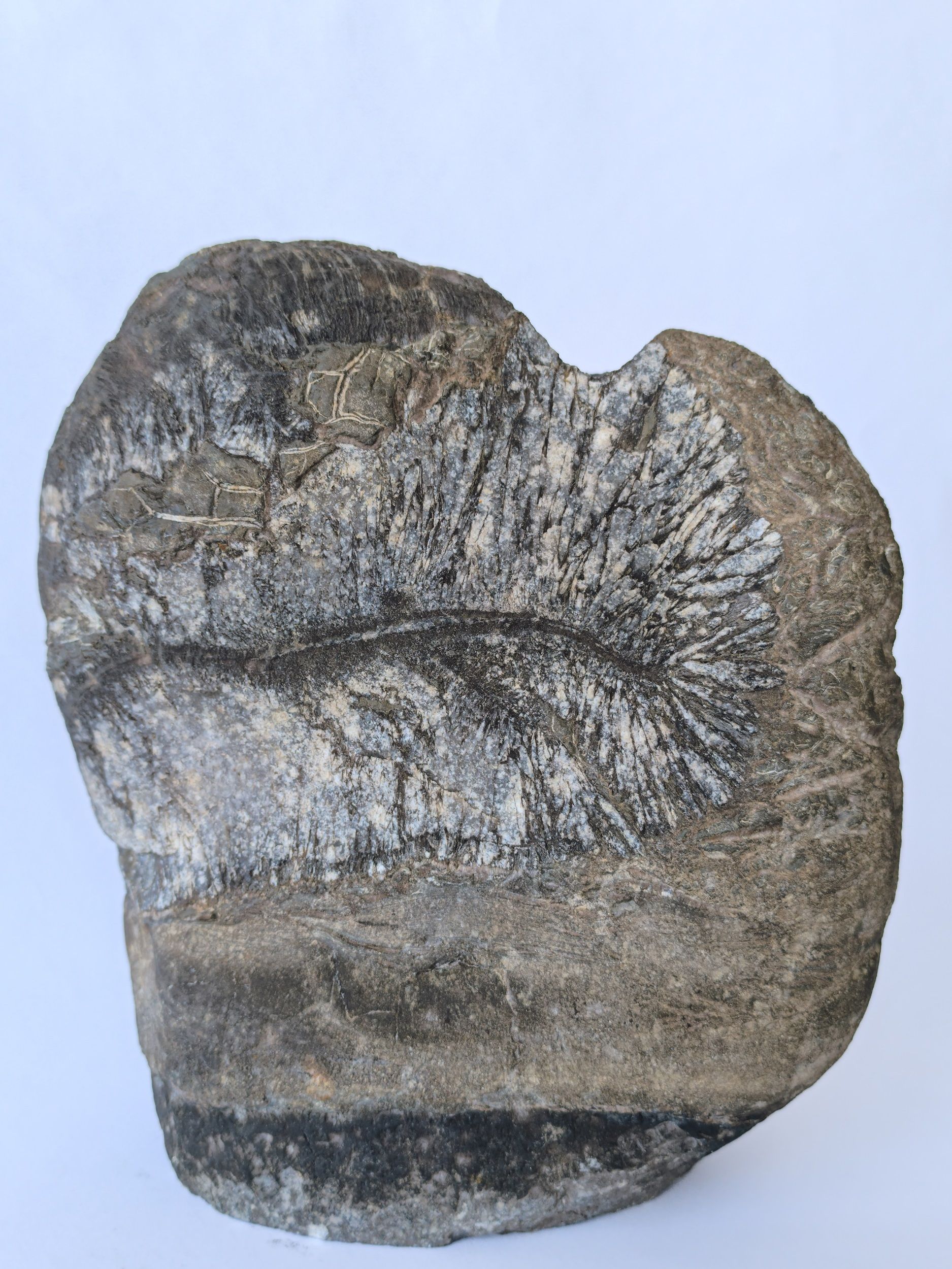 Илья Нефодин (Объект - 
                  23 x 27 см) Ваза "Шепот Первых"