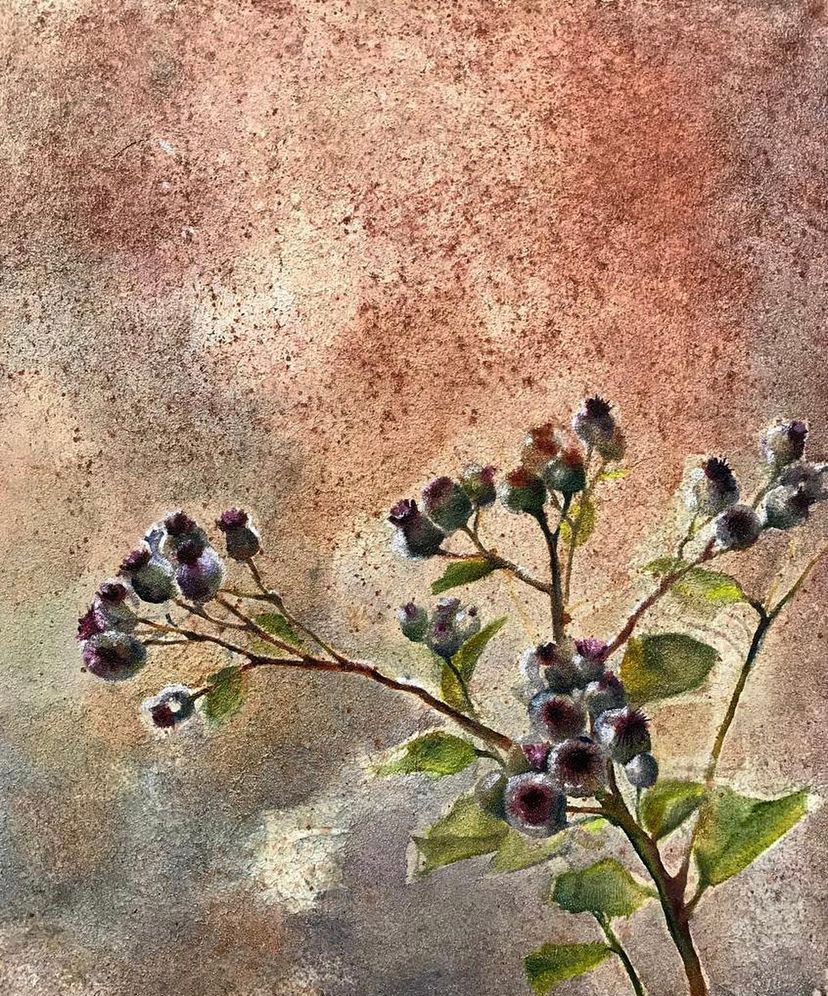 Наталия Красноок (Картина, живопись - 
                  50 x 60 см) Thistle
