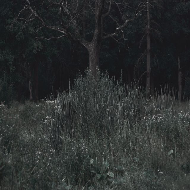Станислав Марков (Фотография - 
                  90 x 90 см) Untitled V