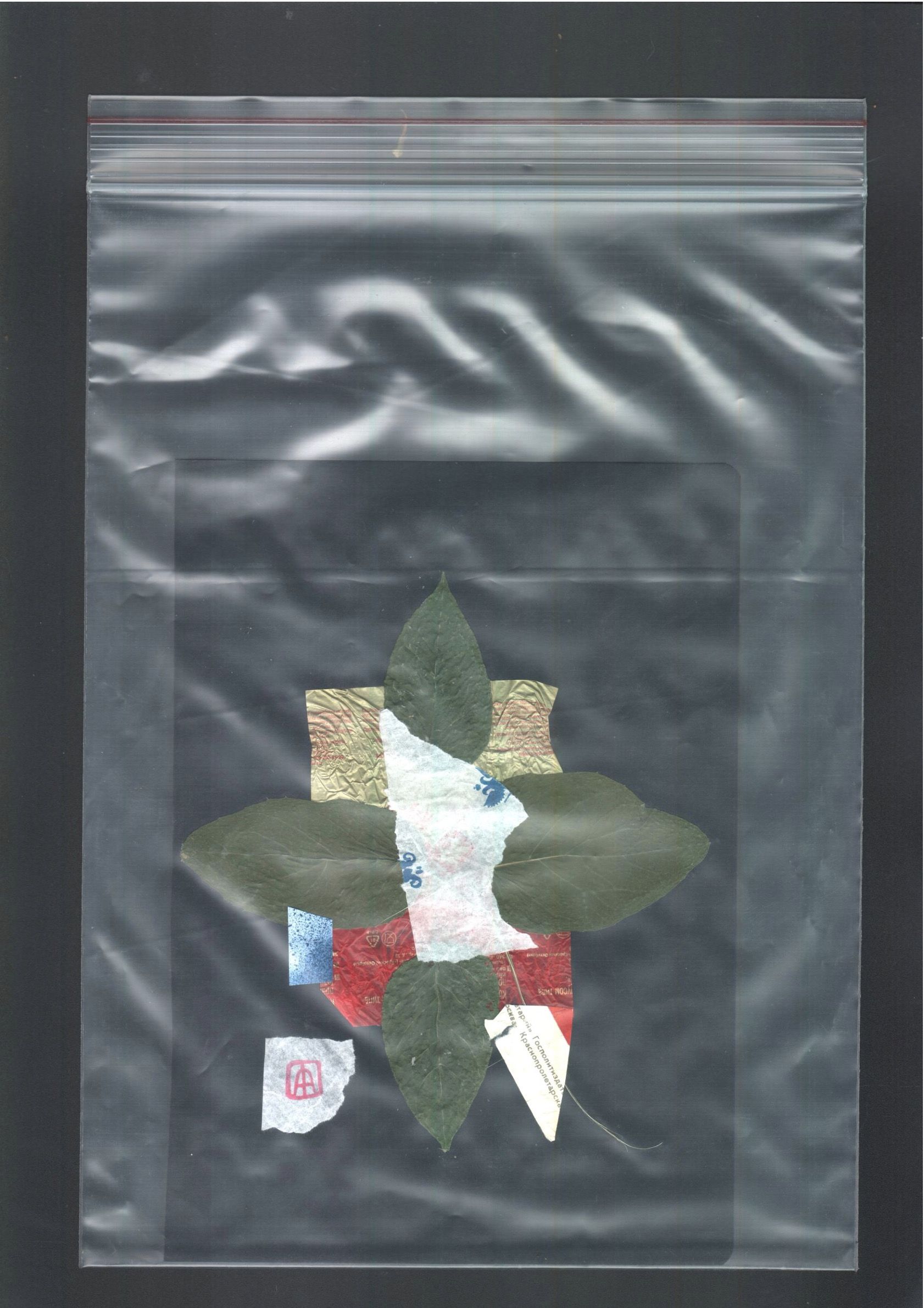 Антон Шульгин (Коллаж / ассамбляж - 
                  15 x 21 см) Голландский альбом (Чёрный) №9