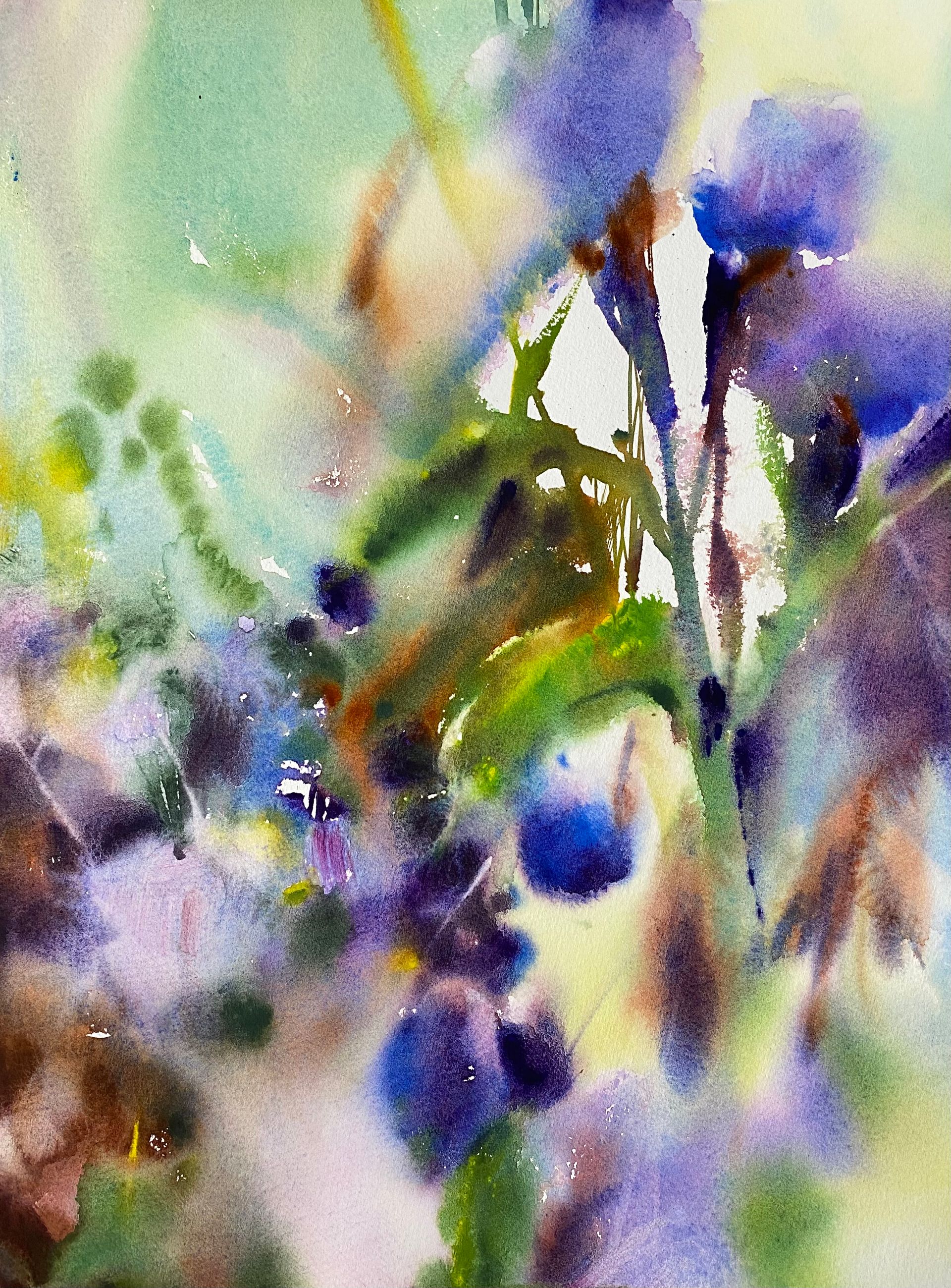 Анна Богинская (Авторская графика - 
                  30 x 40 см) Уральский цвет