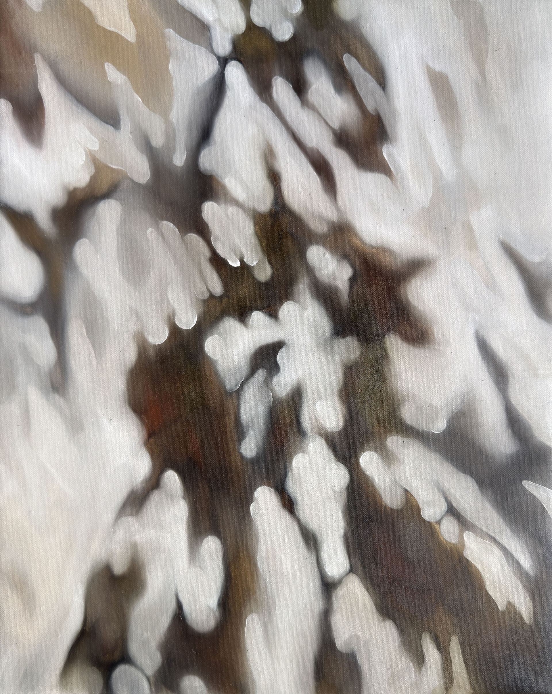 Инна Сумина (Картина, живопись - 
                  40 x 50 см) Последние лучи заката