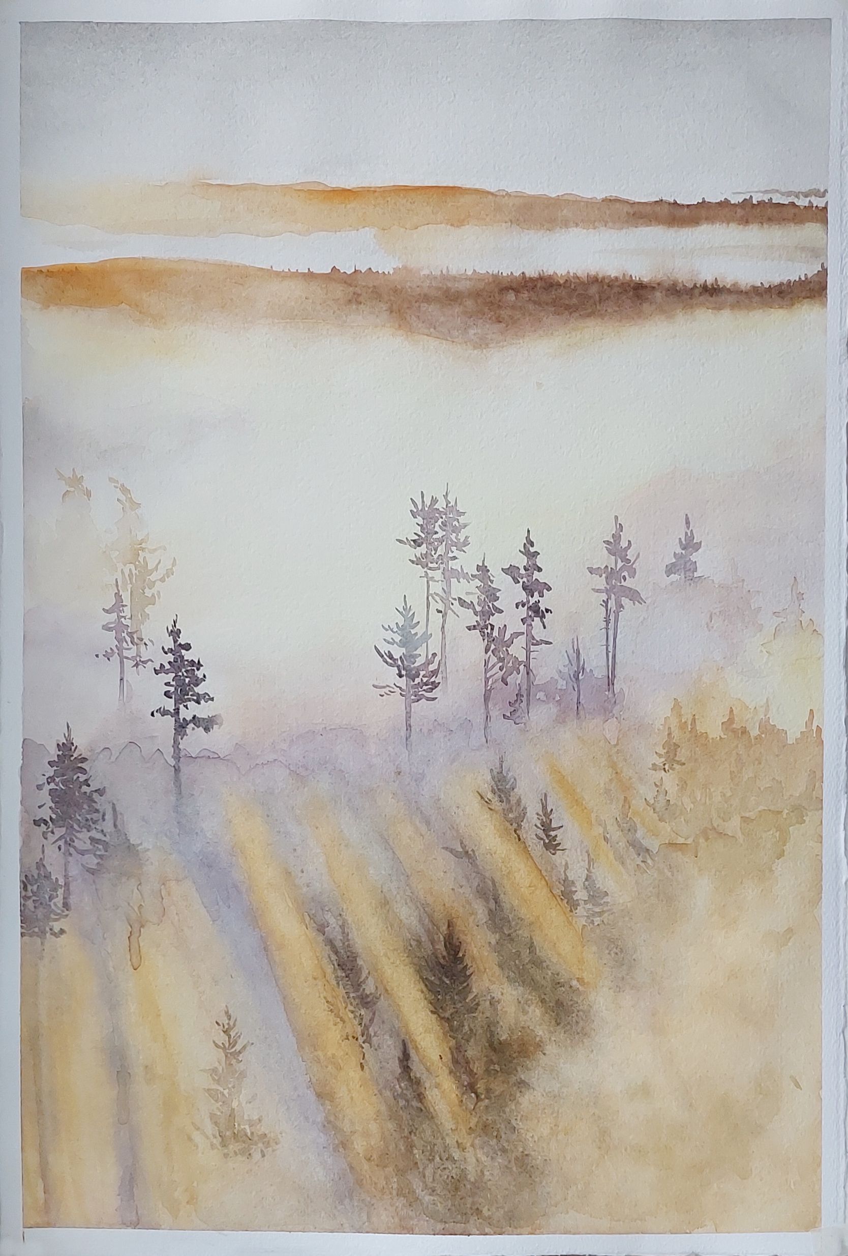 Оливия Лем (Авторская графика - 
                  35 x 50 см) Солнечный лес