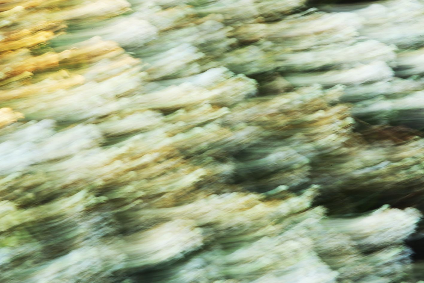 Татьяна Сенчило (Фотография - 
                  100 x 70 см) Из серии "Исчезнуть, замолчать, услышать"