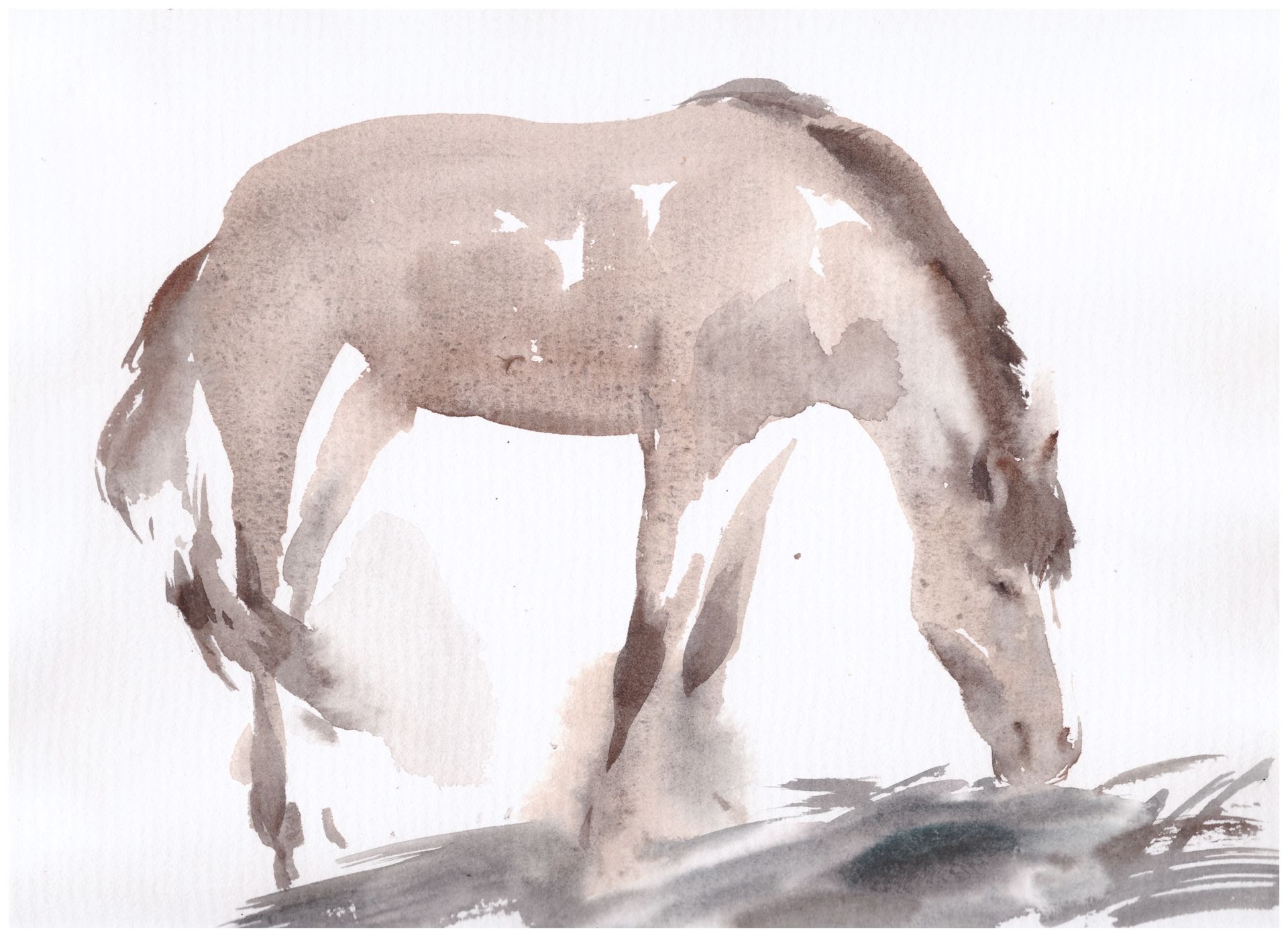 Надежда Воронцова (Авторская графика - 
                  30 x 23 см) Шёпот степей