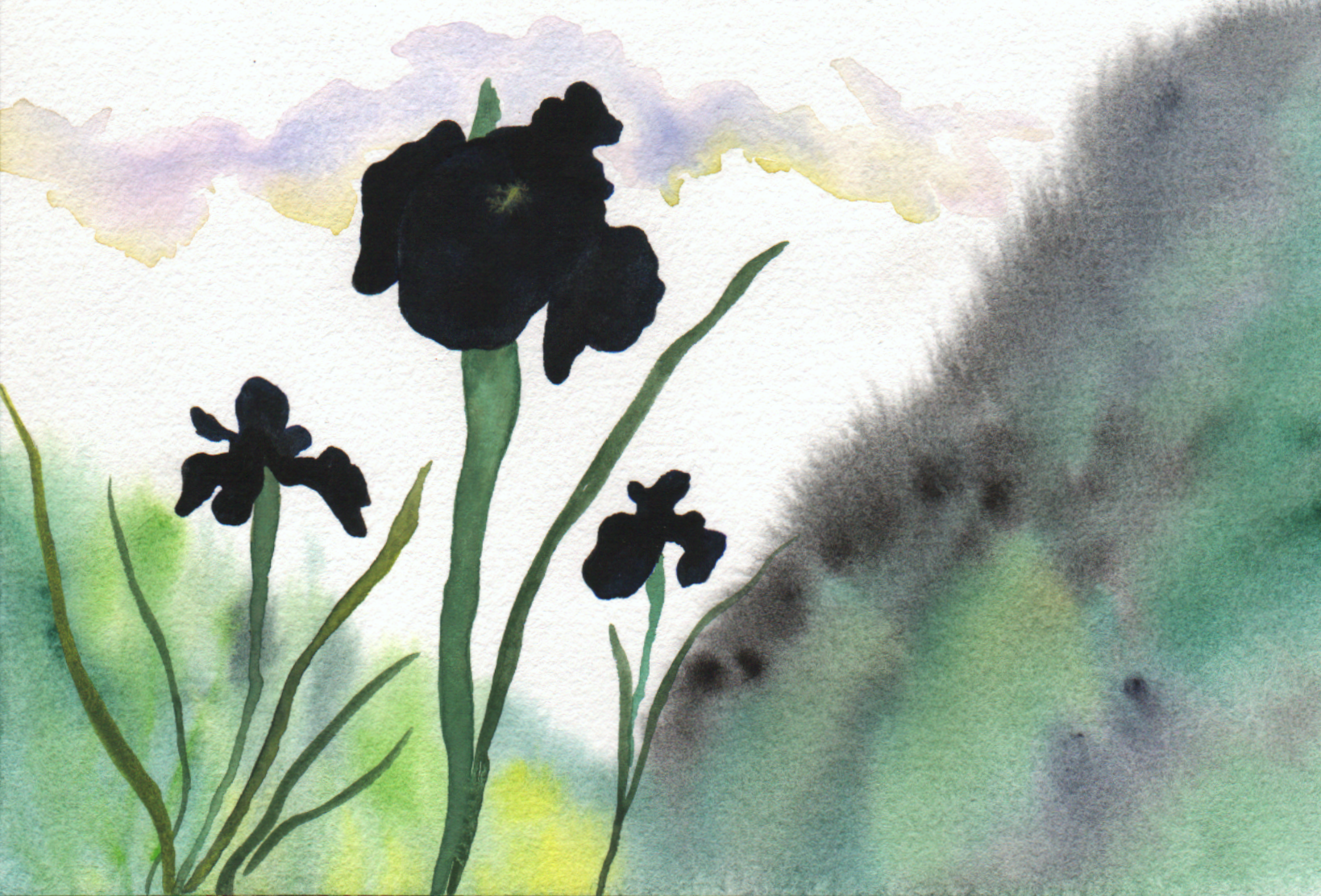 Катя Лесун (Авторская графика - 
                  21 x 14 см) Черный ирис