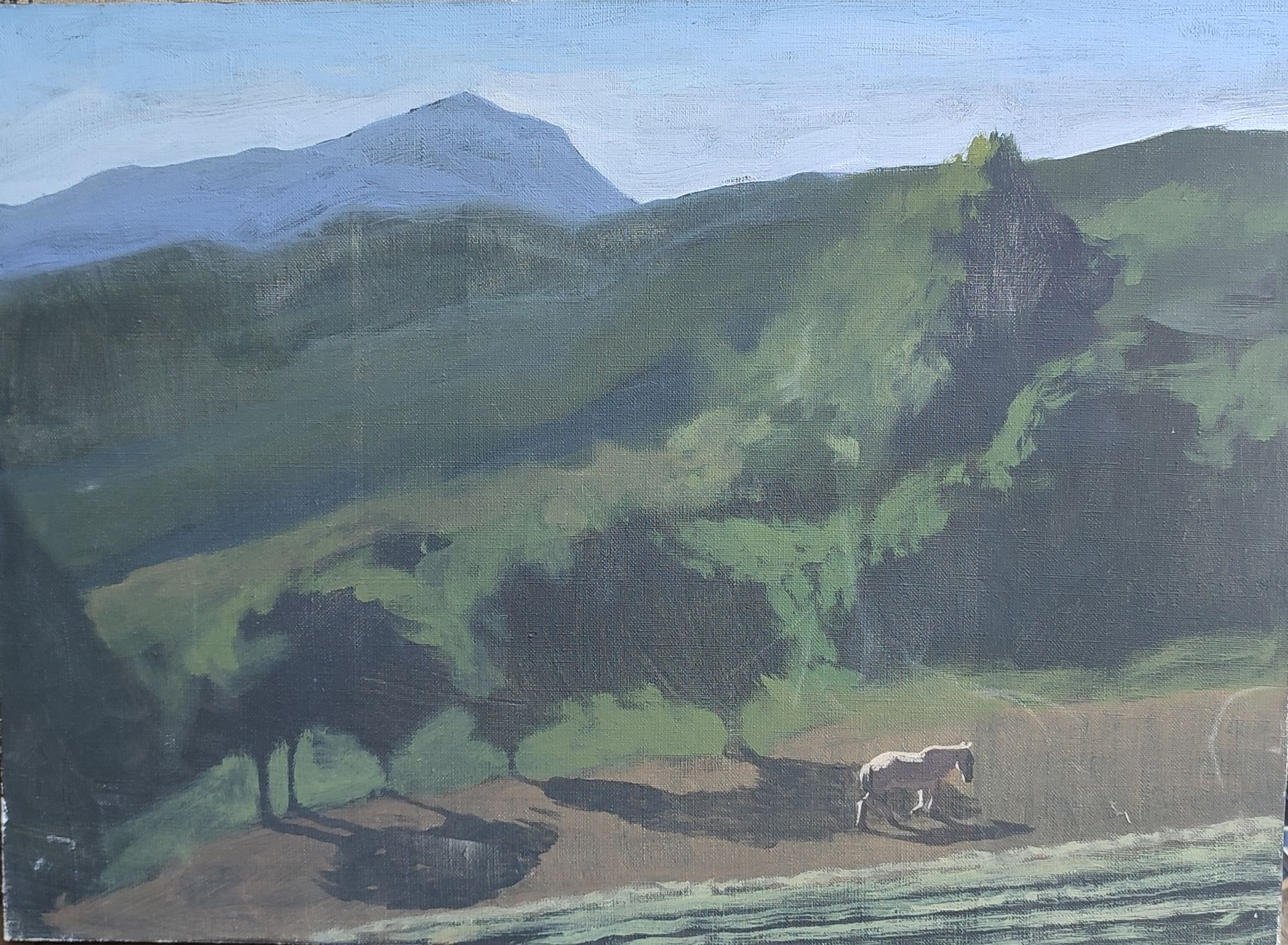 Николай Пак (Картина, живопись - 
                  50 x 40 см) Прогулка