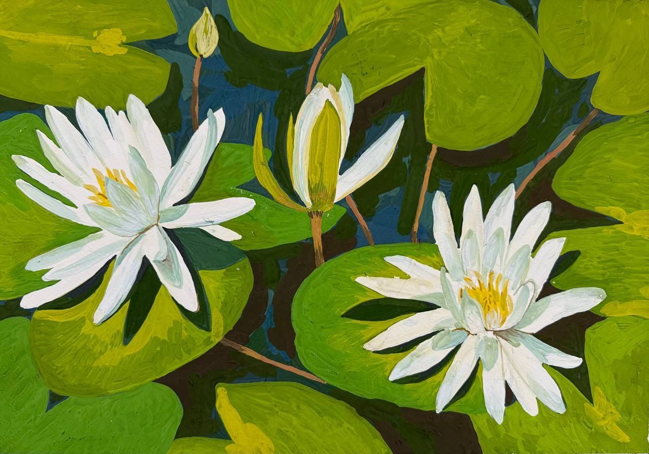 Алена Сокольникова (Авторская графика - 
                  41.5 x 29.5 см) Кувшинки