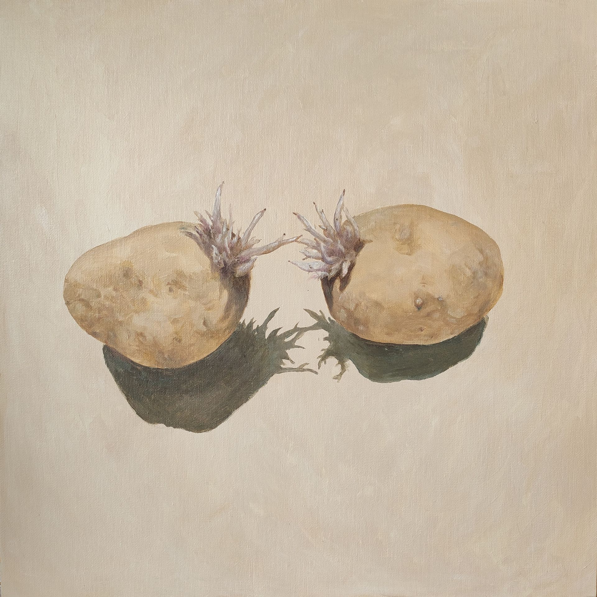 Женя Шарвина (Картина, живопись - 
                  40 x 40 см) Проросшая картошка