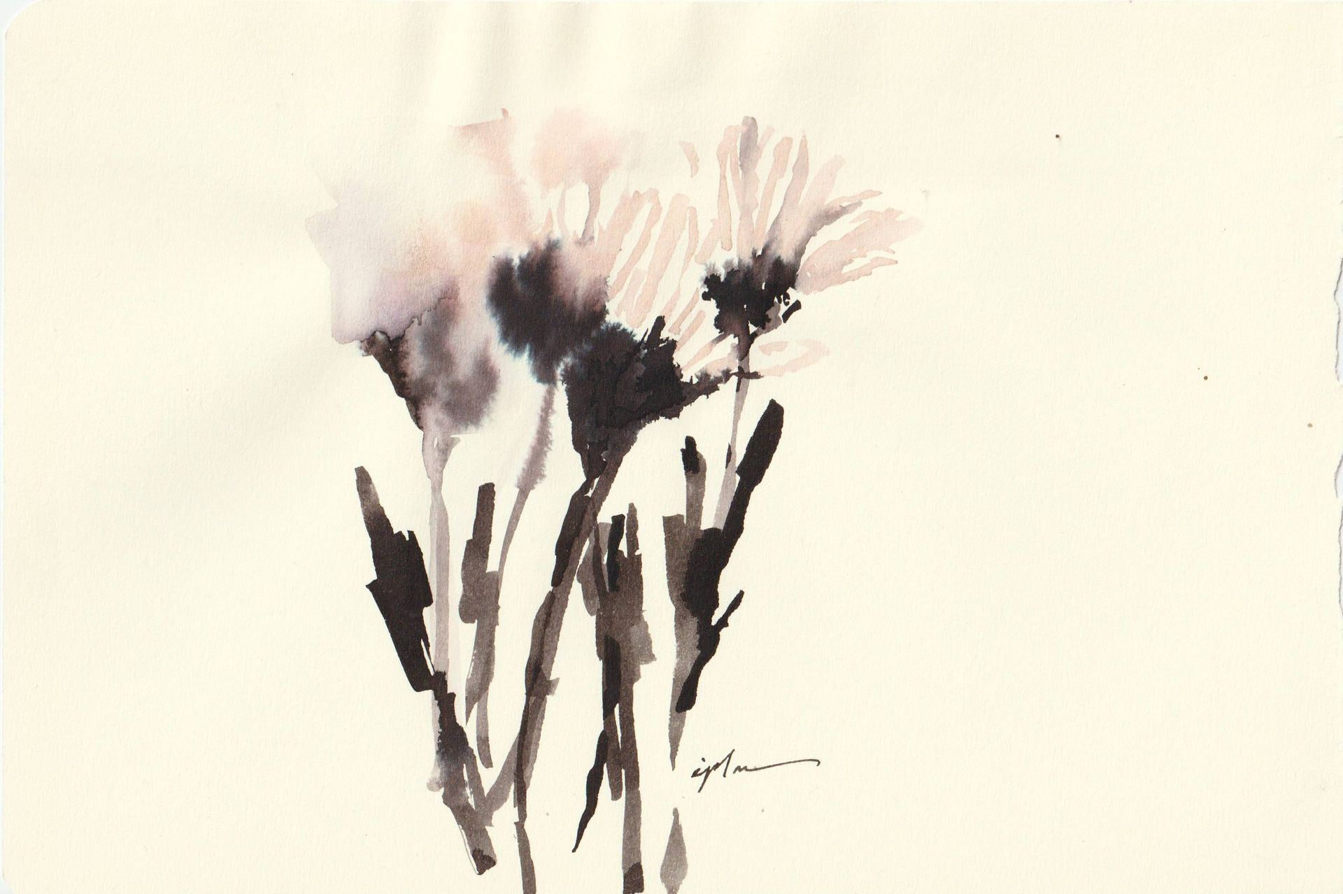 Виктория Зарецкая (embrassé par la muse) (Авторская графика - 
                  20.6 x 13.9 см) Chrysanthèmes