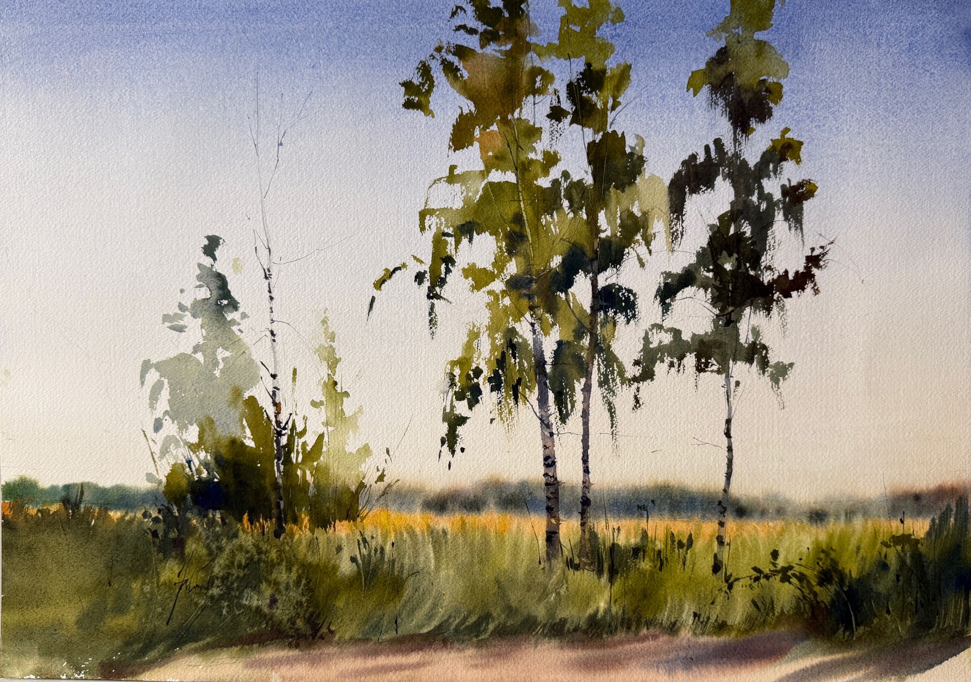 Жанна Губина (Авторская графика - 
                  51 x 36 см) Три березы