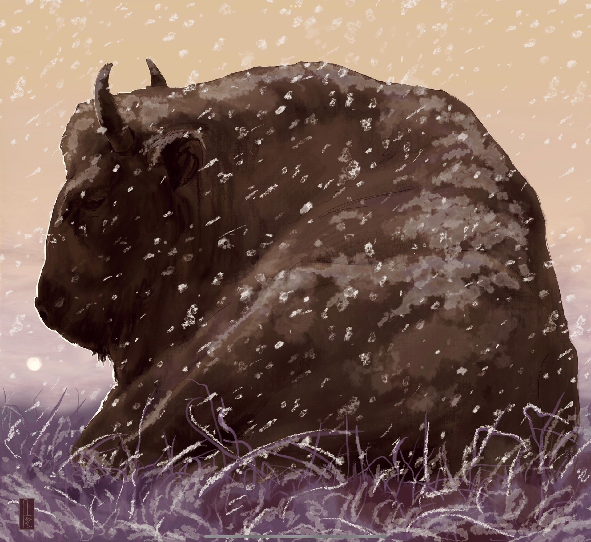 Дарья Григорова (Графика цифровая (принты) - 
                  27 x 30 см) Зубр в снегу